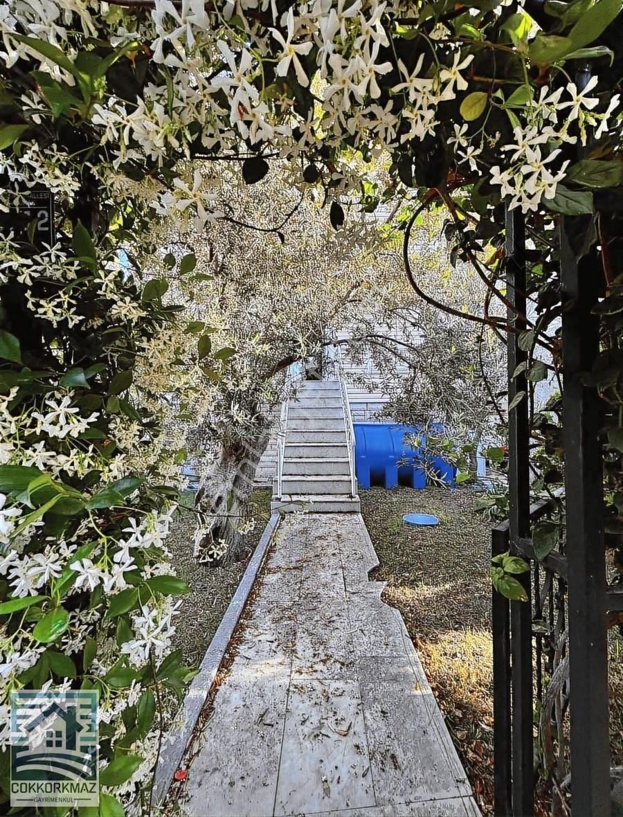 Alibey Cunda Adasında 3+1 Villa - Görsel 5