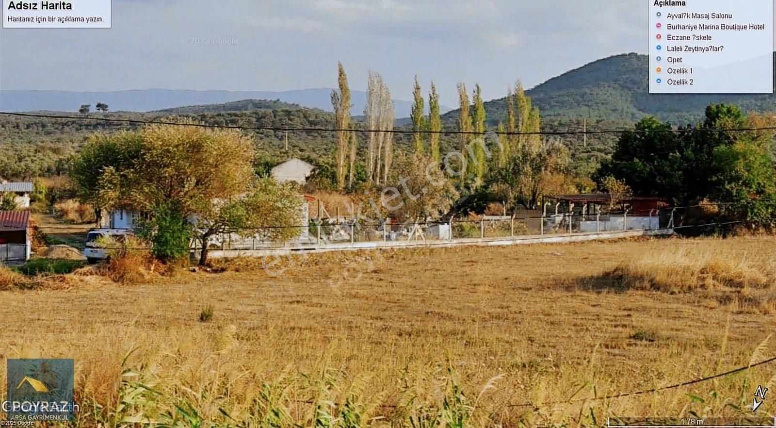 Poyraz Dan Burhanıye Taylıeli De Arsa Kıvamında Zeytinlik - Görsel 6