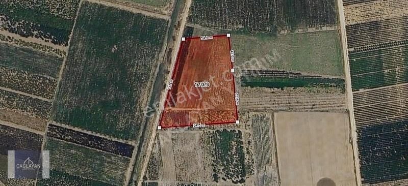 Sungurpaşa'da Soğuksu Osb'ye Yakın Yatırımlık Fırsat Tarla