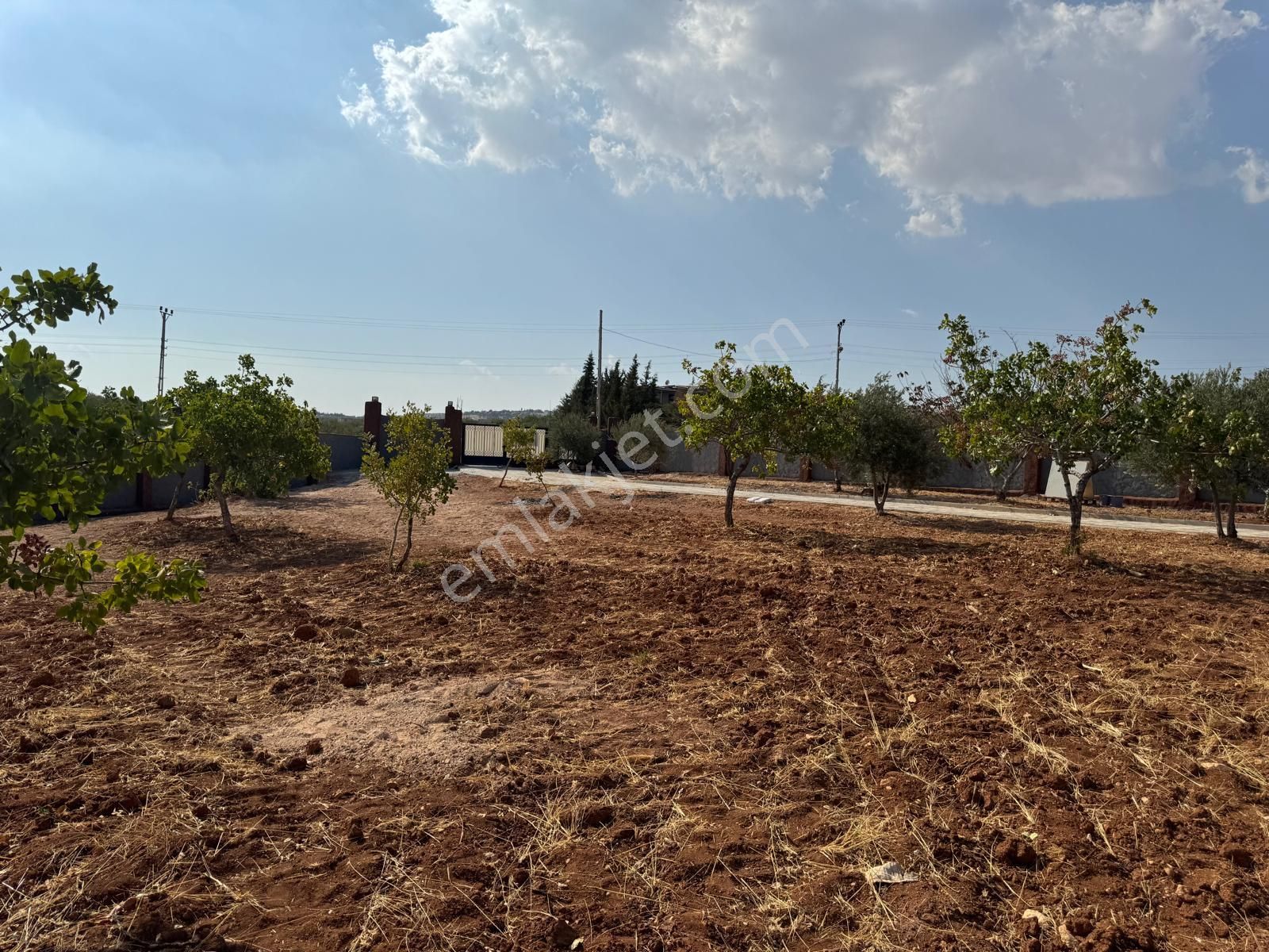 Aktif'den Mükemmel Konumda Bakımlı Bağ Evi... - Görsel 35