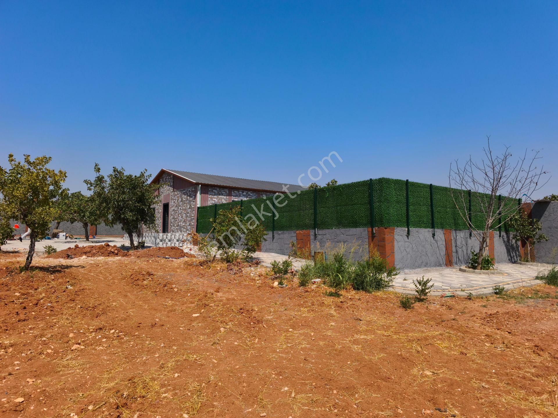 Aktif'den Mükemmel Konumda Bakımlı Bağ Evi... - Görsel 11