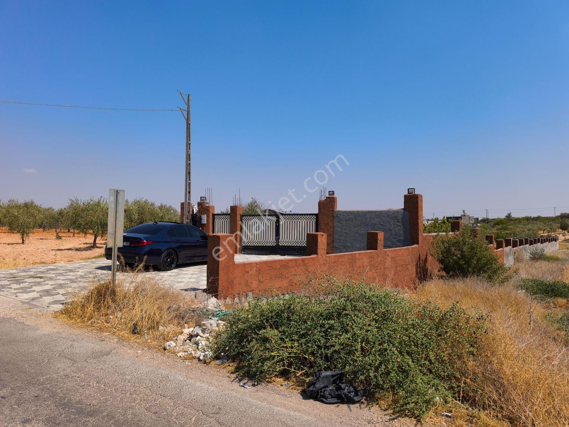 Aktif'den Mükemmel Konumda Bakımlı Bağ Evi... - Görsel 25