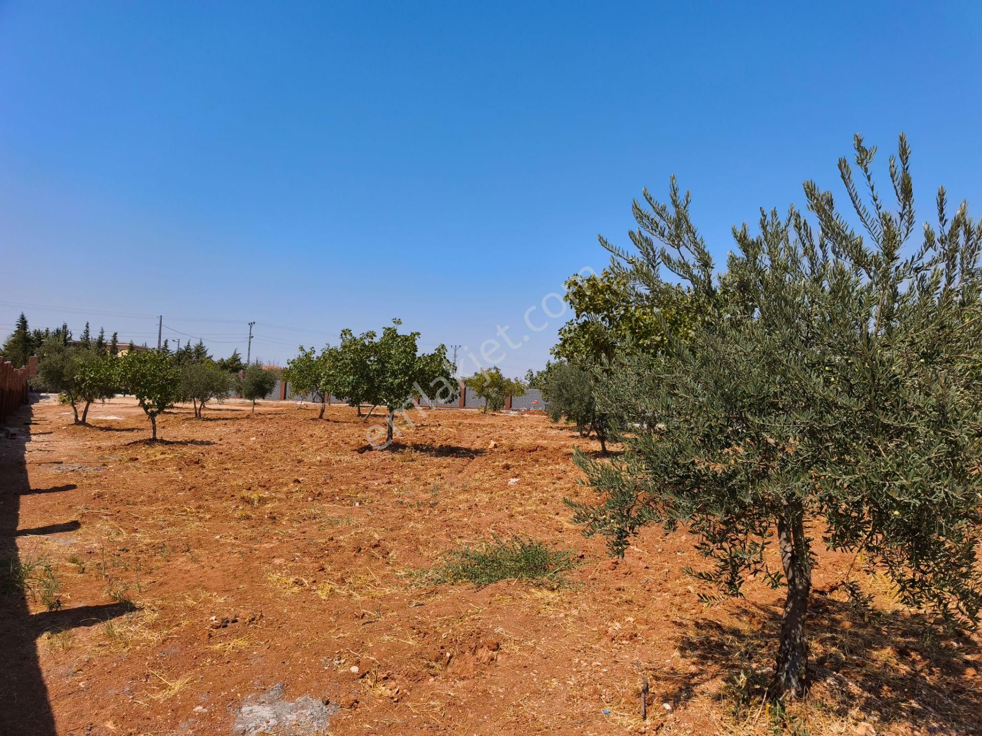 Aktif'den Mükemmel Konumda Bakımlı Bağ Evi... - Görsel 17