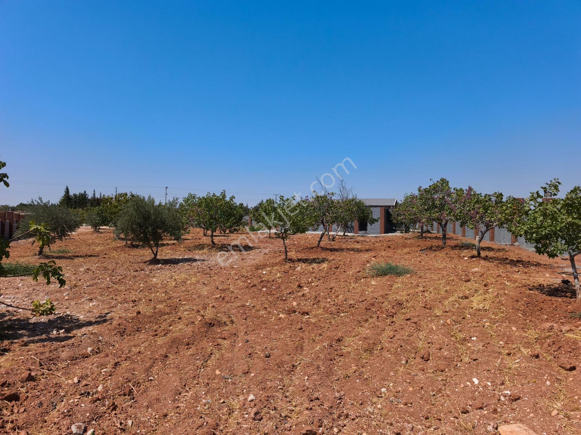Aktif'den Mükemmel Konumda Bakımlı Bağ Evi... - Görsel 18