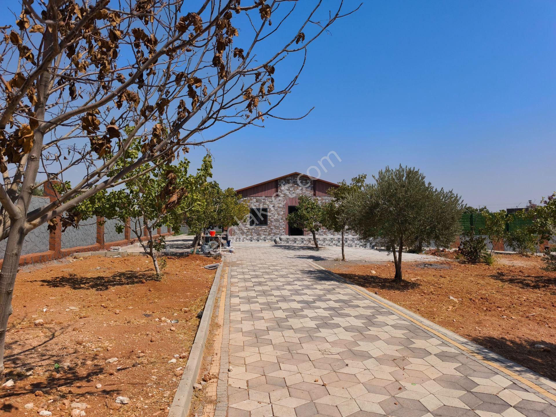 Aktif'den Mükemmel Konumda Bakımlı Bağ Evi... - Görsel 22