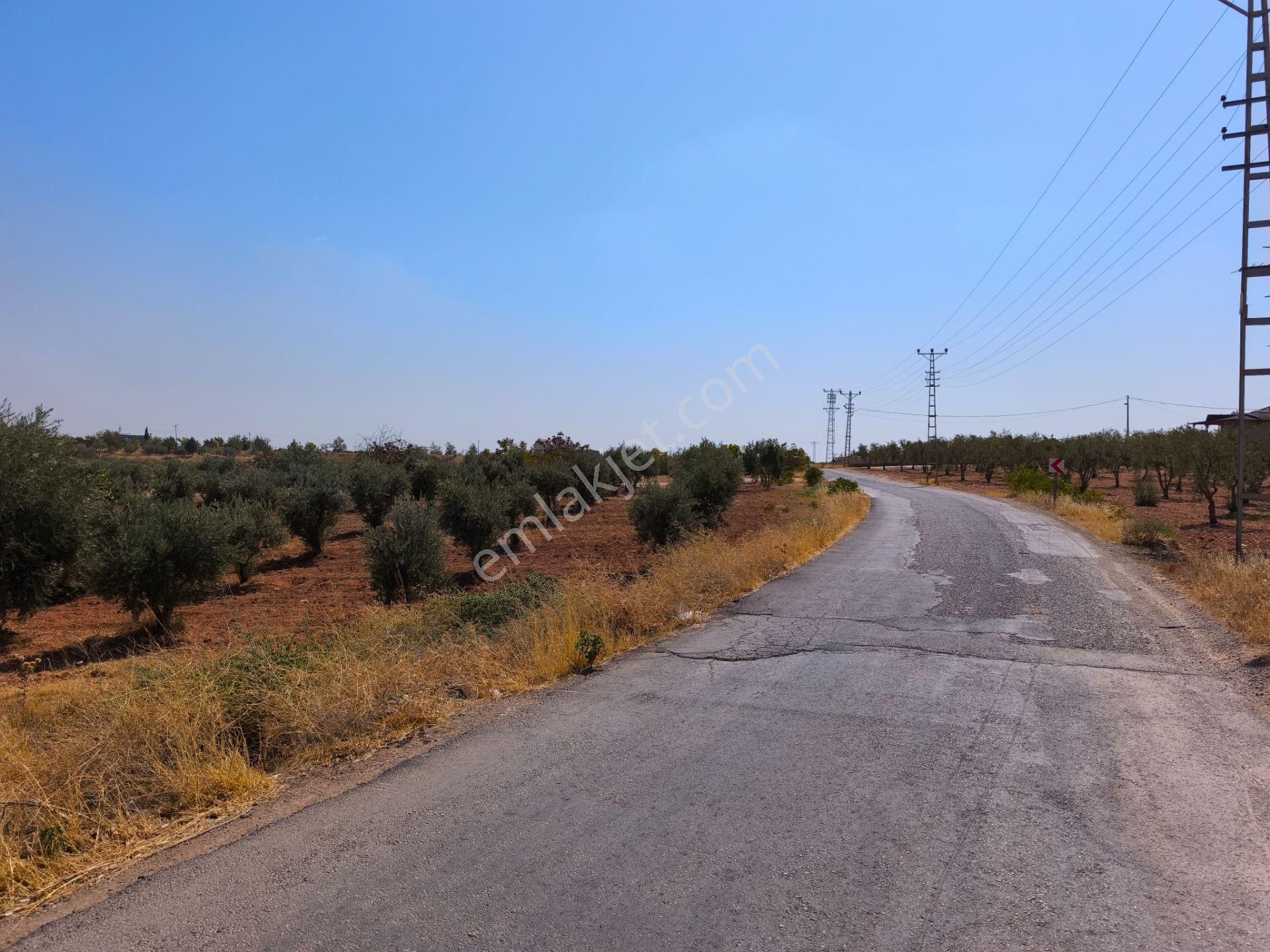 Aktif'den Mükemmel Konumda Bakımlı Bağ Evi... - Görsel 24