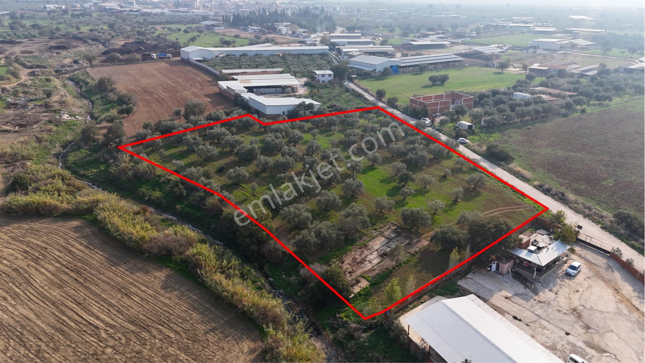 Kemalpaşa Halilbeyli'de Tarımsal Sanayi İmarlı - Görsel 19