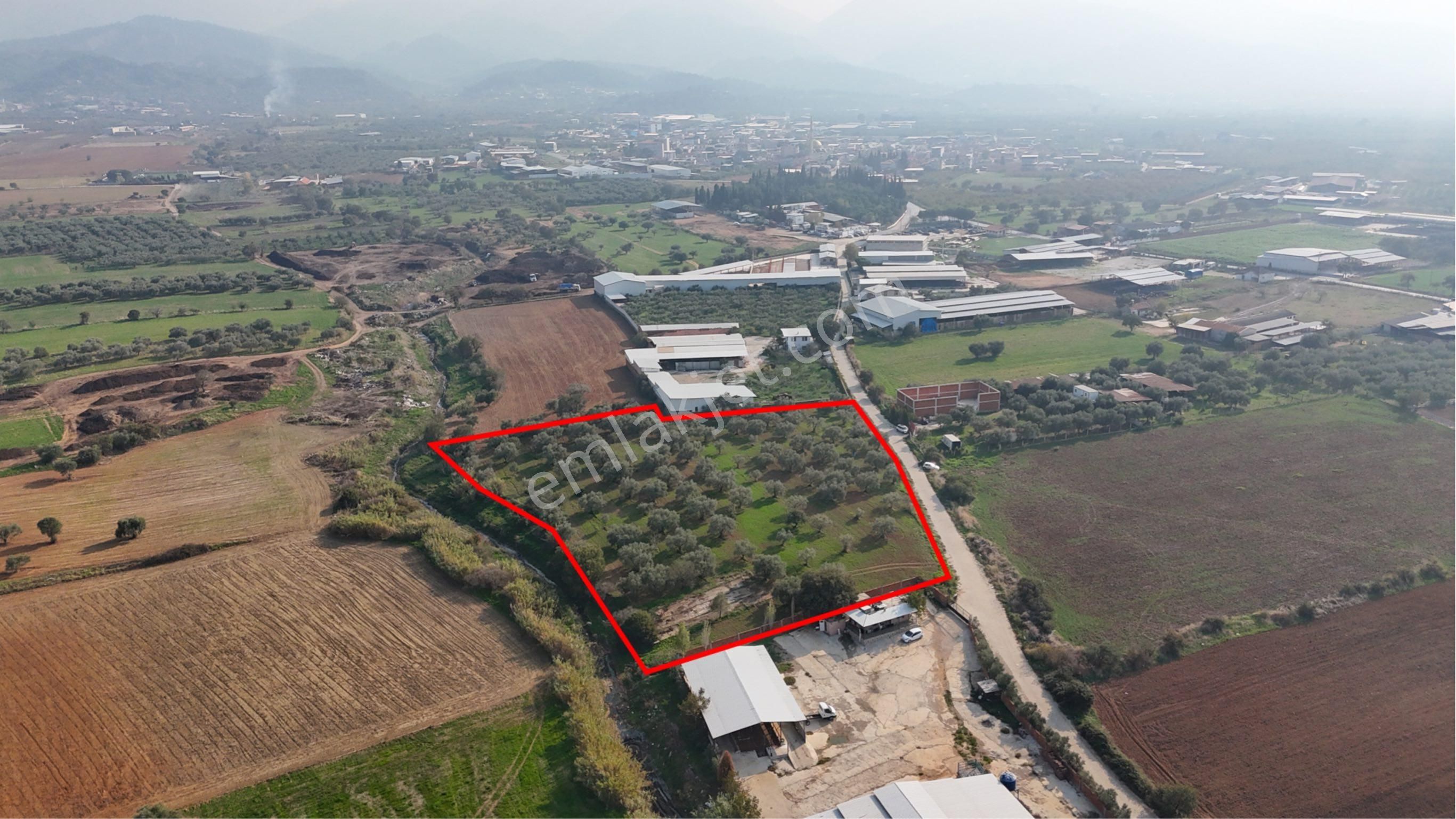 Kemalpaşa Halilbeyli'de Tarımsal Sanayi İmarlı - Görsel 18