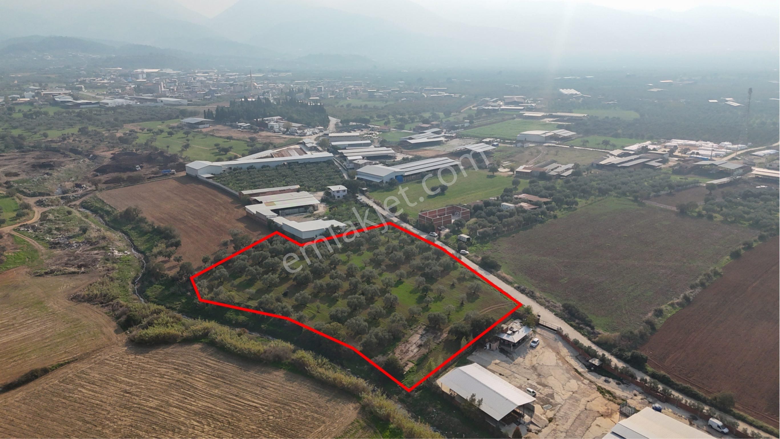 Kemalpaşa Halilbeyli'de Tarımsal Sanayi İmarlı - Görsel 26