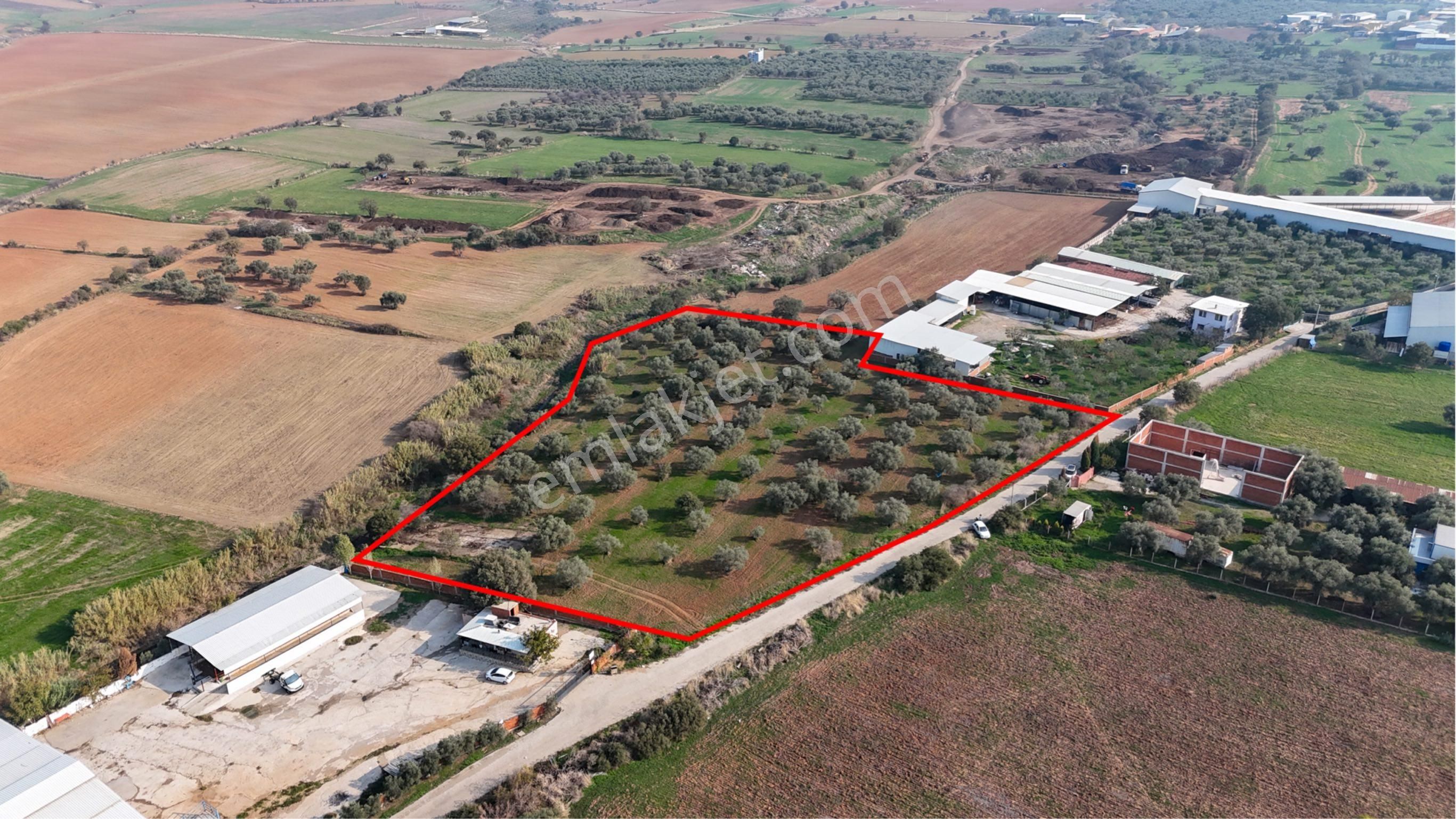 Kemalpaşa Halilbeyli'de Tarımsal Sanayi İmarlı - Görsel 27