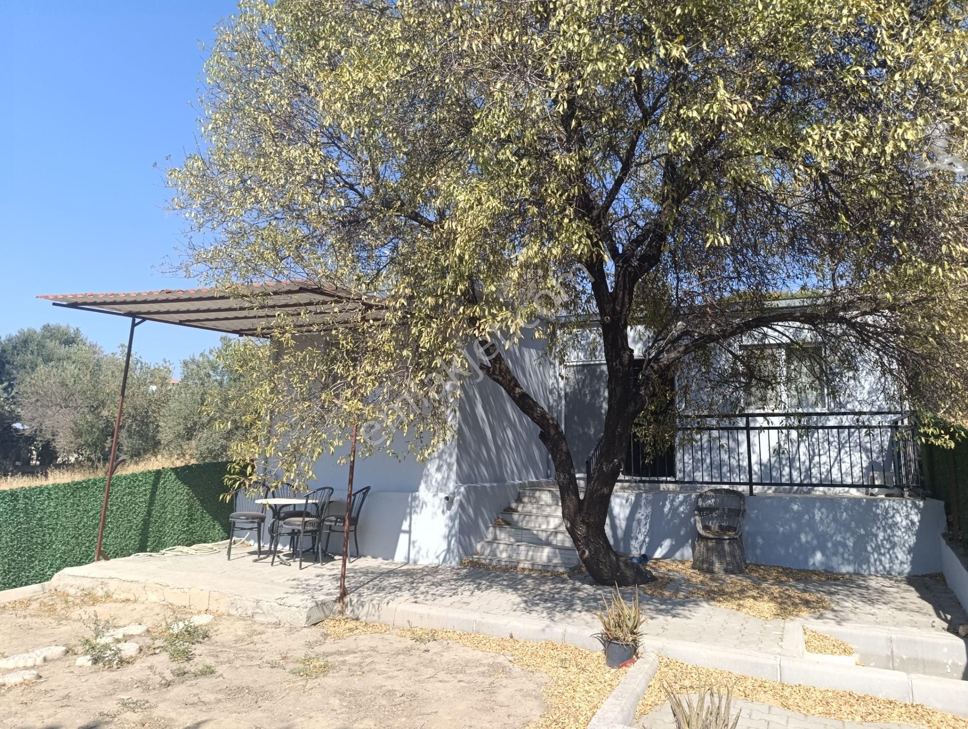 Rose Emlak'tan Satılık Köy Evi - Görsel 18