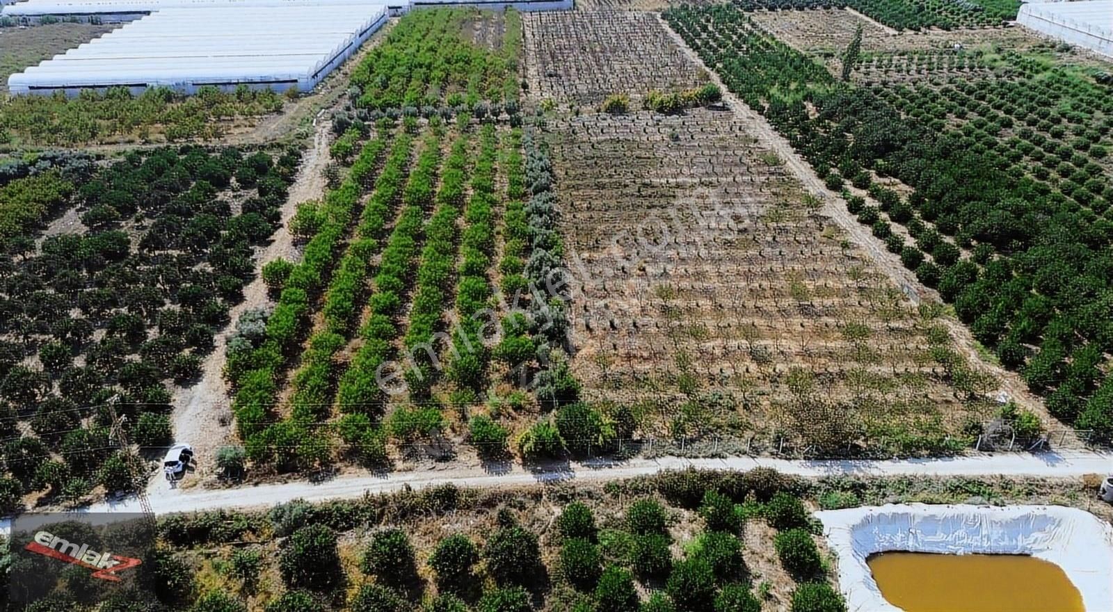 Emlak Z' Den ⫸ｆｉｒｓａt⫸ Demirhisar Yanparda 4 Dönüm Arsa