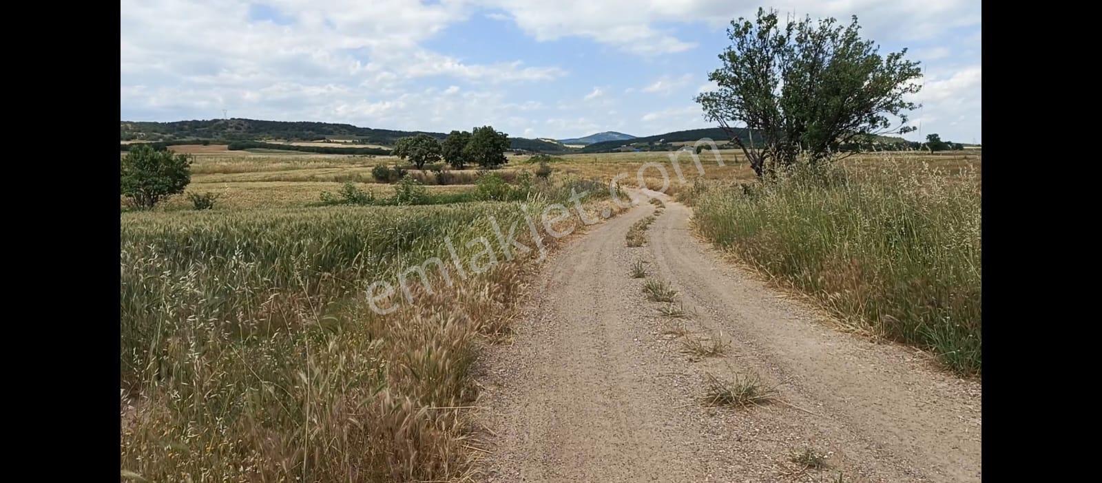 Enez Büyükevren De 3700m2 Köye Yakın Yerleşime Uygun
