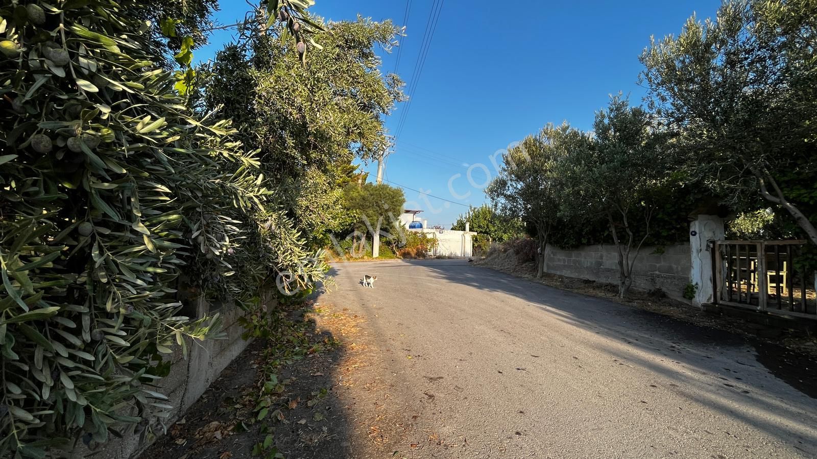 Gülbahçe'de Denize Yakın 257 M2 Arsa - Görsel 9