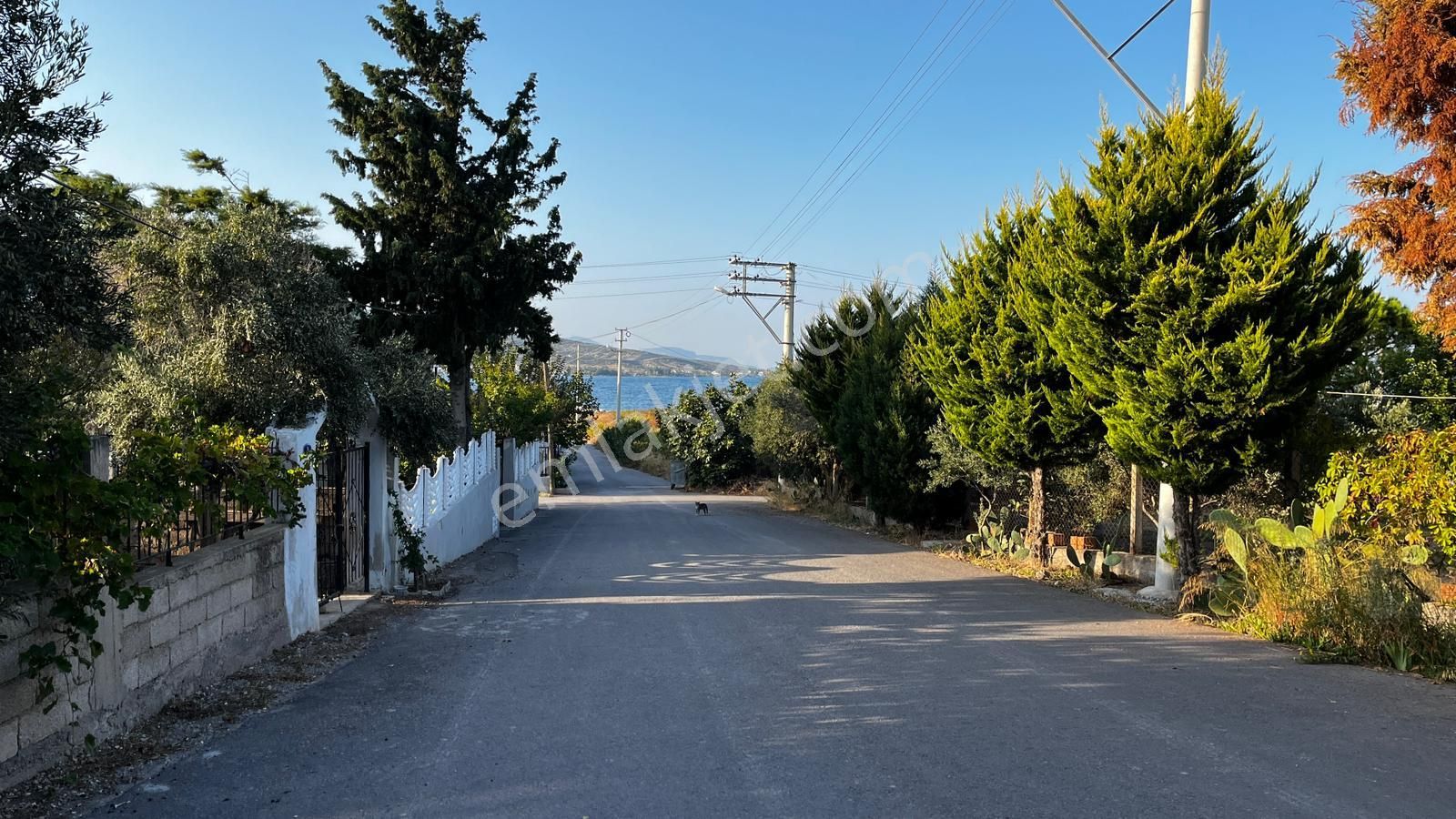 Gülbahçe'de Denize Yakın 257 M2 Arsa - Görsel 8