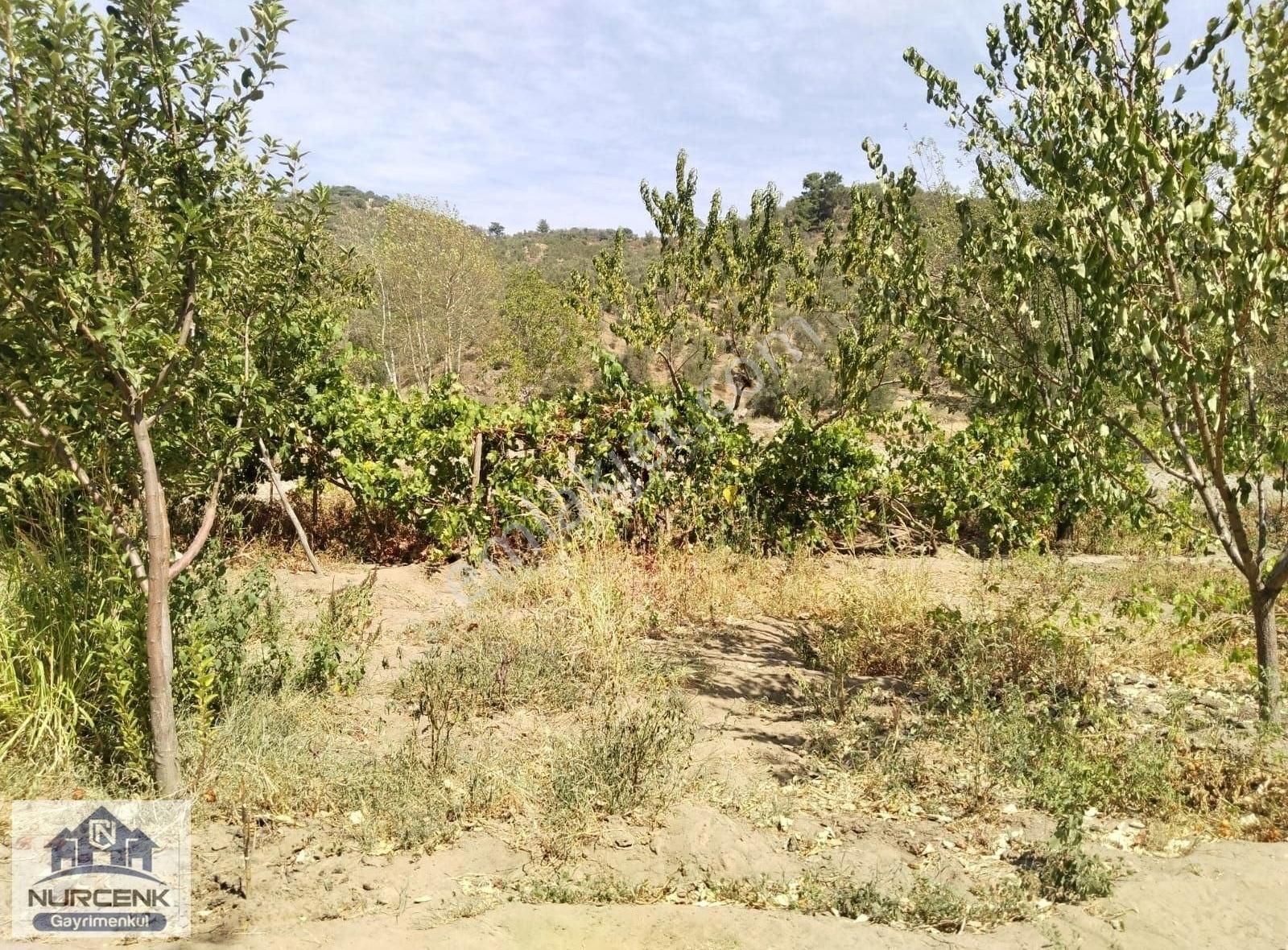 Balıkesir Burhanıye Karadere'de Muhtesem Konuumlu Hobi Bahçesı - Görsel 18