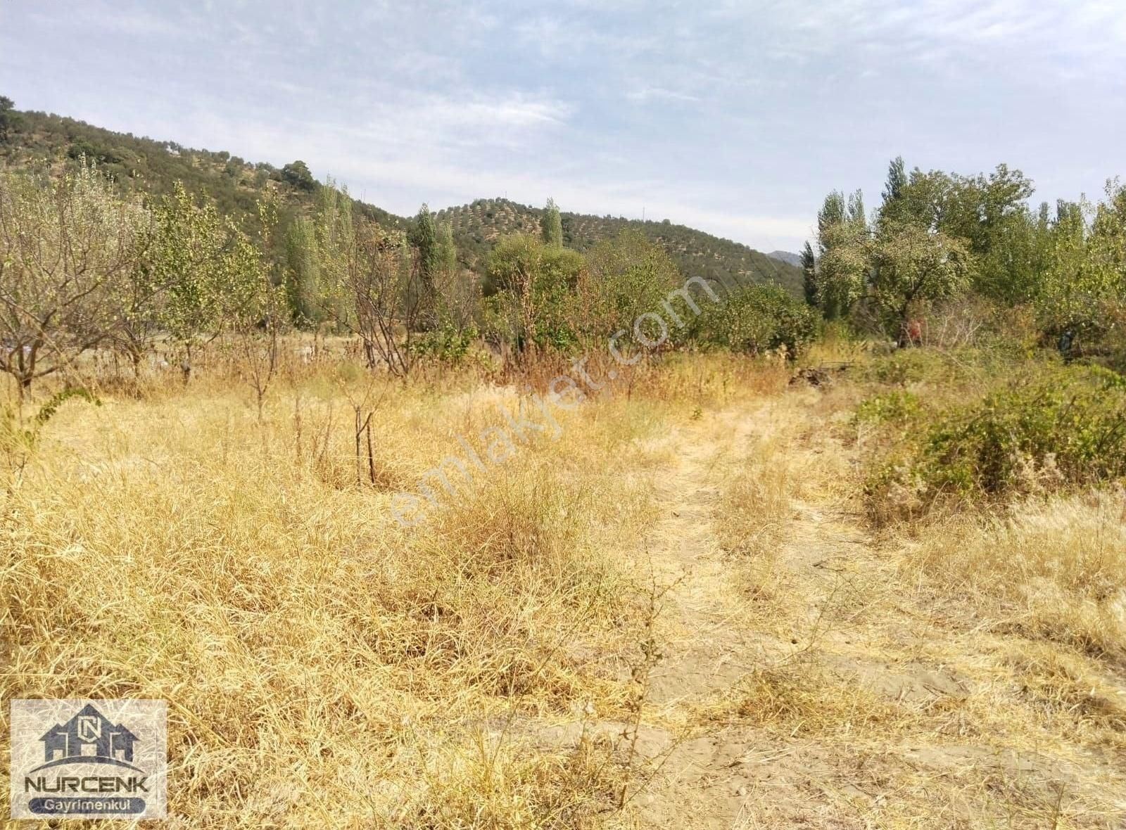 Balıkesir Burhanıye Karadere'de Muhtesem Konuumlu Hobi Bahçesı - Görsel 2