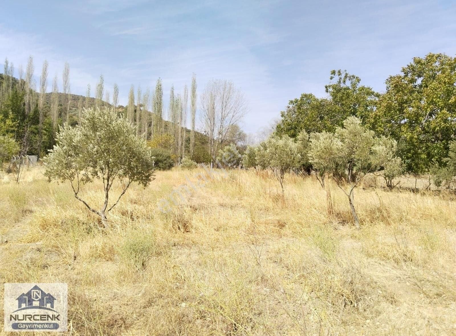 Balıkesir Burhanıye Karadere'de Muhtesem Konuumlu Hobi Bahçesı - Görsel 13