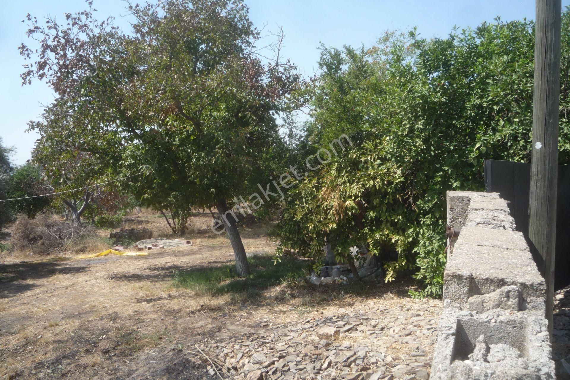 İzmir Torbalı Gold Emlaktan Satılık Kıymetli Mülk - Görsel 5