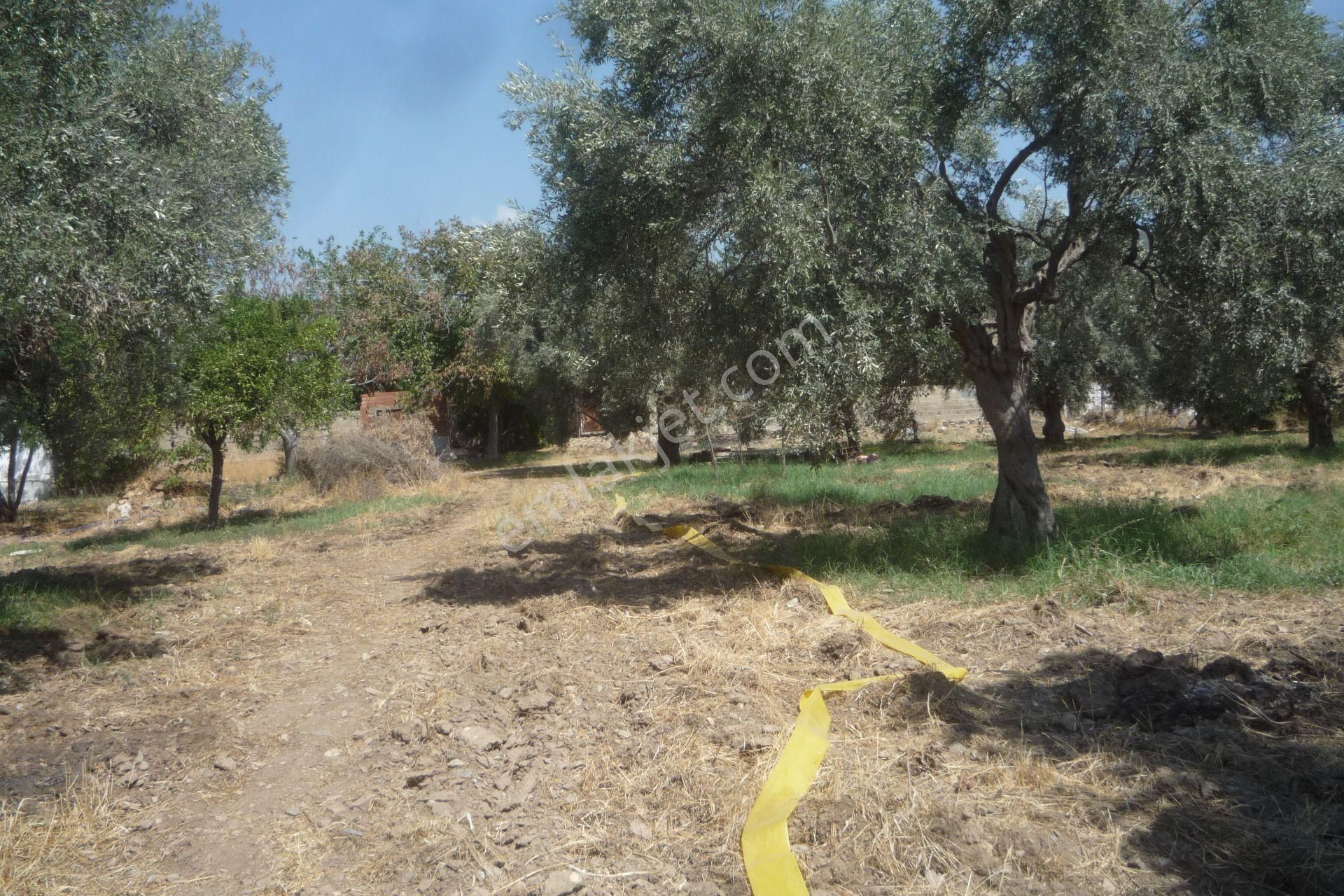 İzmir Torbalı Gold Emlaktan Satılık Kıymetli Mülk - Görsel 19
