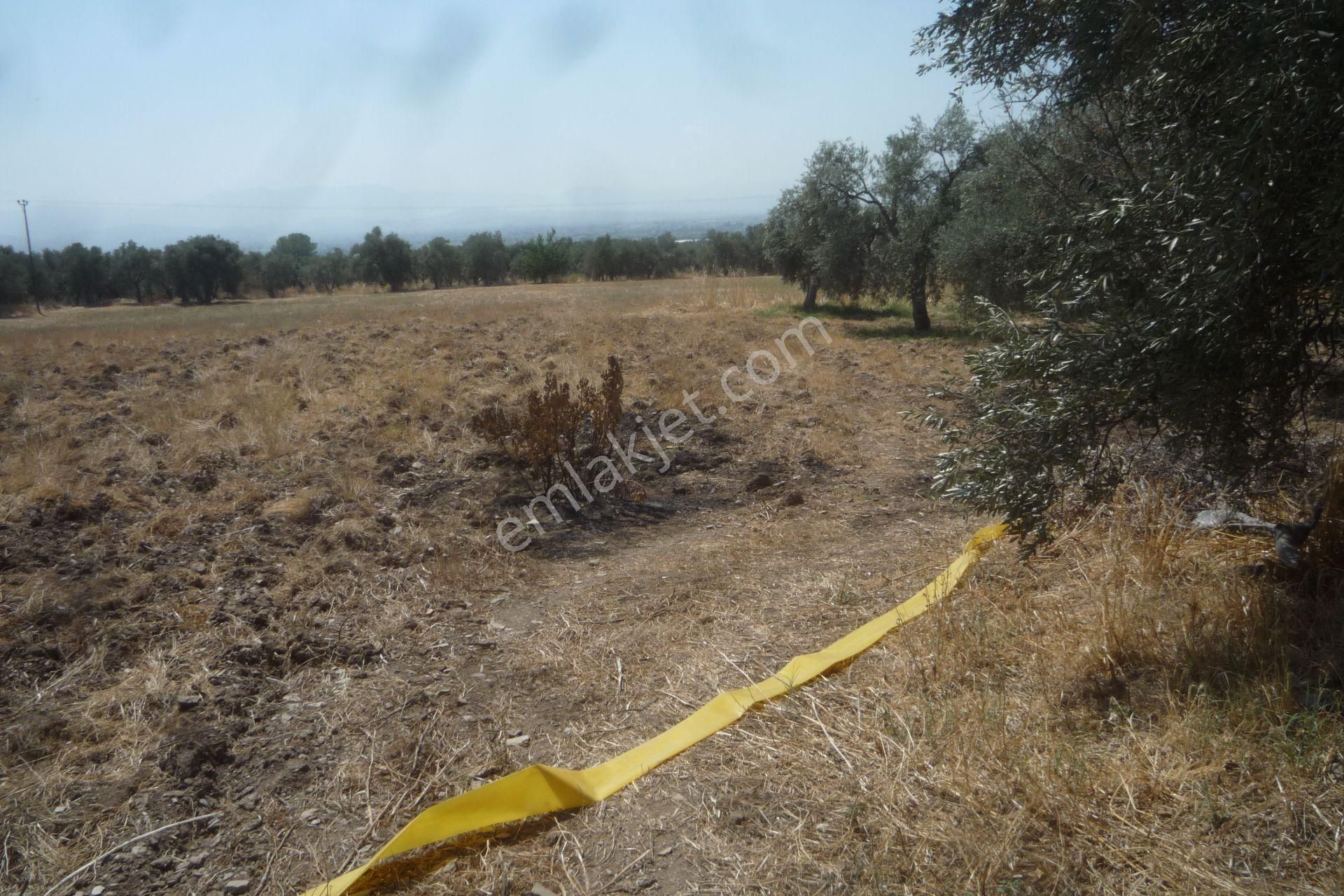 İzmir Torbalı Gold Emlaktan Satılık Kıymetli Mülk - Görsel 14