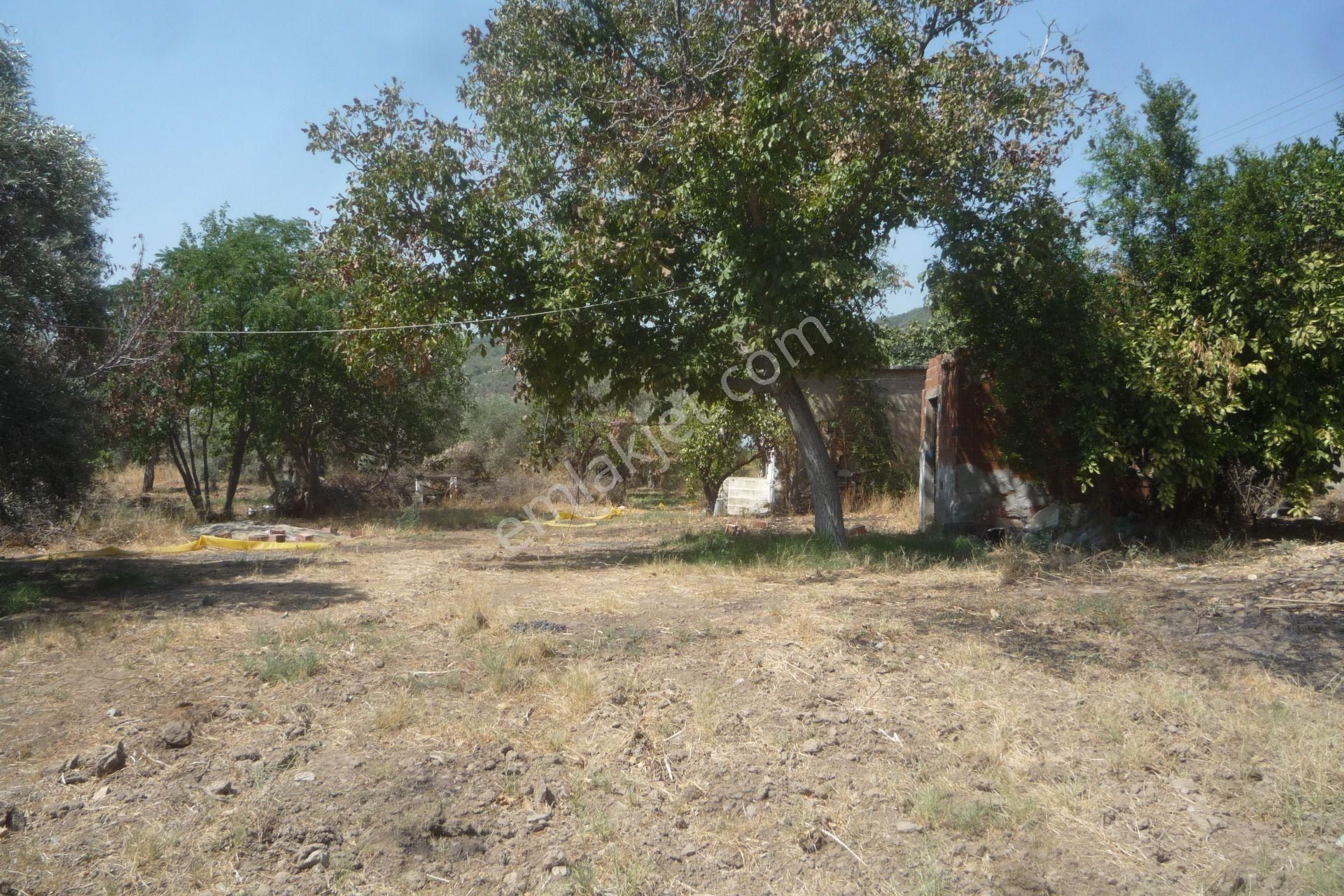 İzmir Torbalı Gold Emlaktan Satılık Kıymetli Mülk - Görsel 8