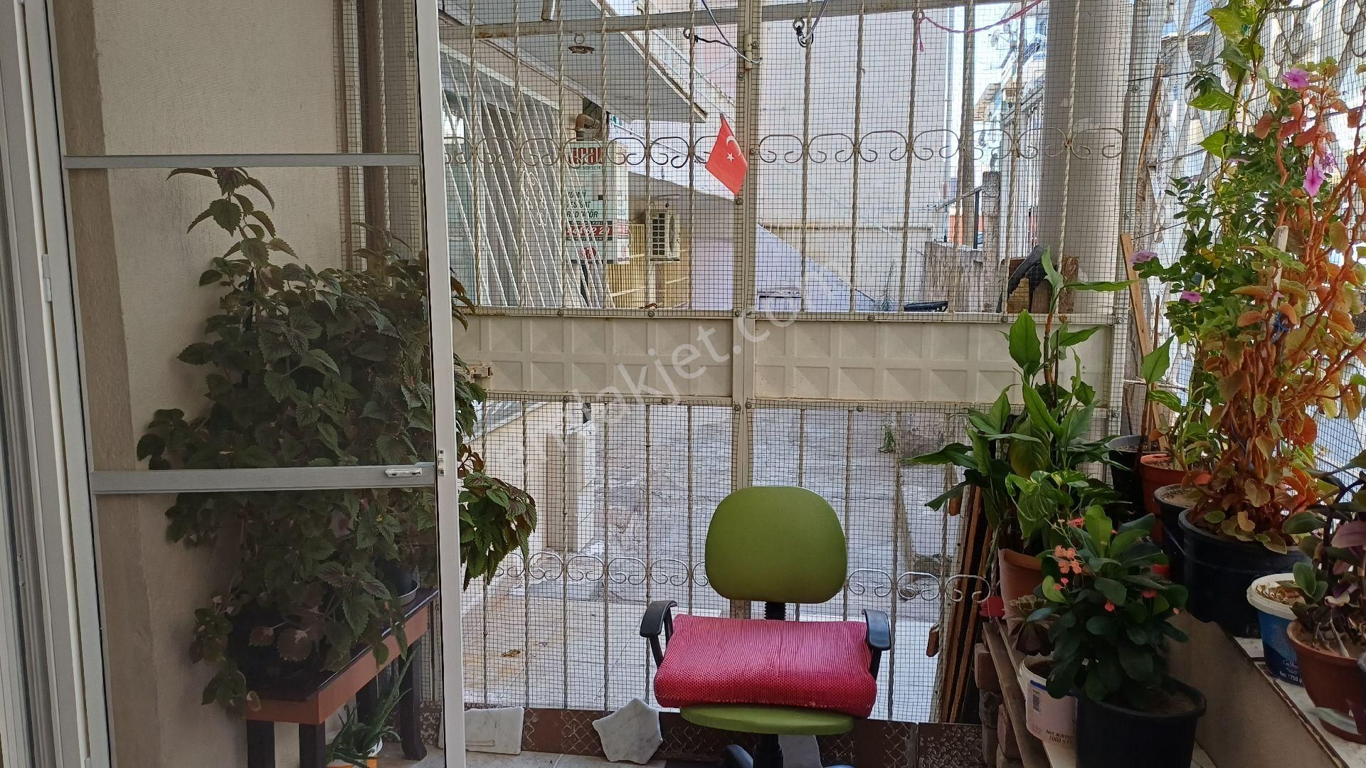 Ana Caddeye Yakın Bakımlı - Görsel 24