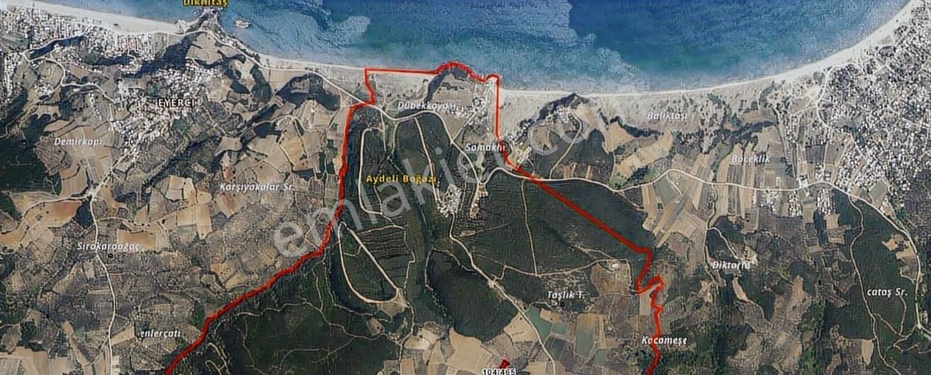 Mudanya Söğütpınar'da Kapital'denmüstakil Tapu 2702m2 Zeytinlik - Görsel 3