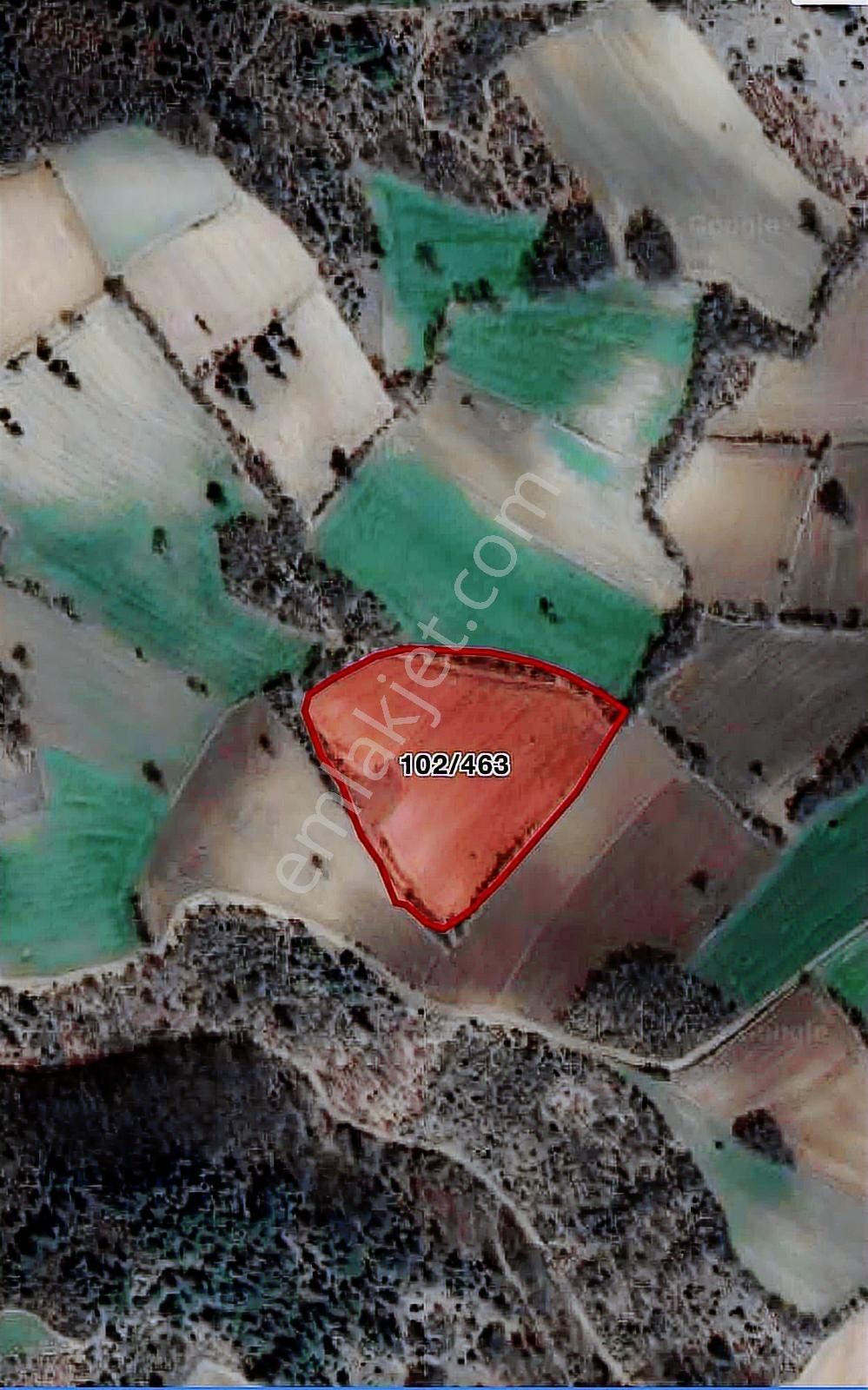 Yenişehir Terziler Köyünde Kapital'den Satılık 2 Adet Tarla