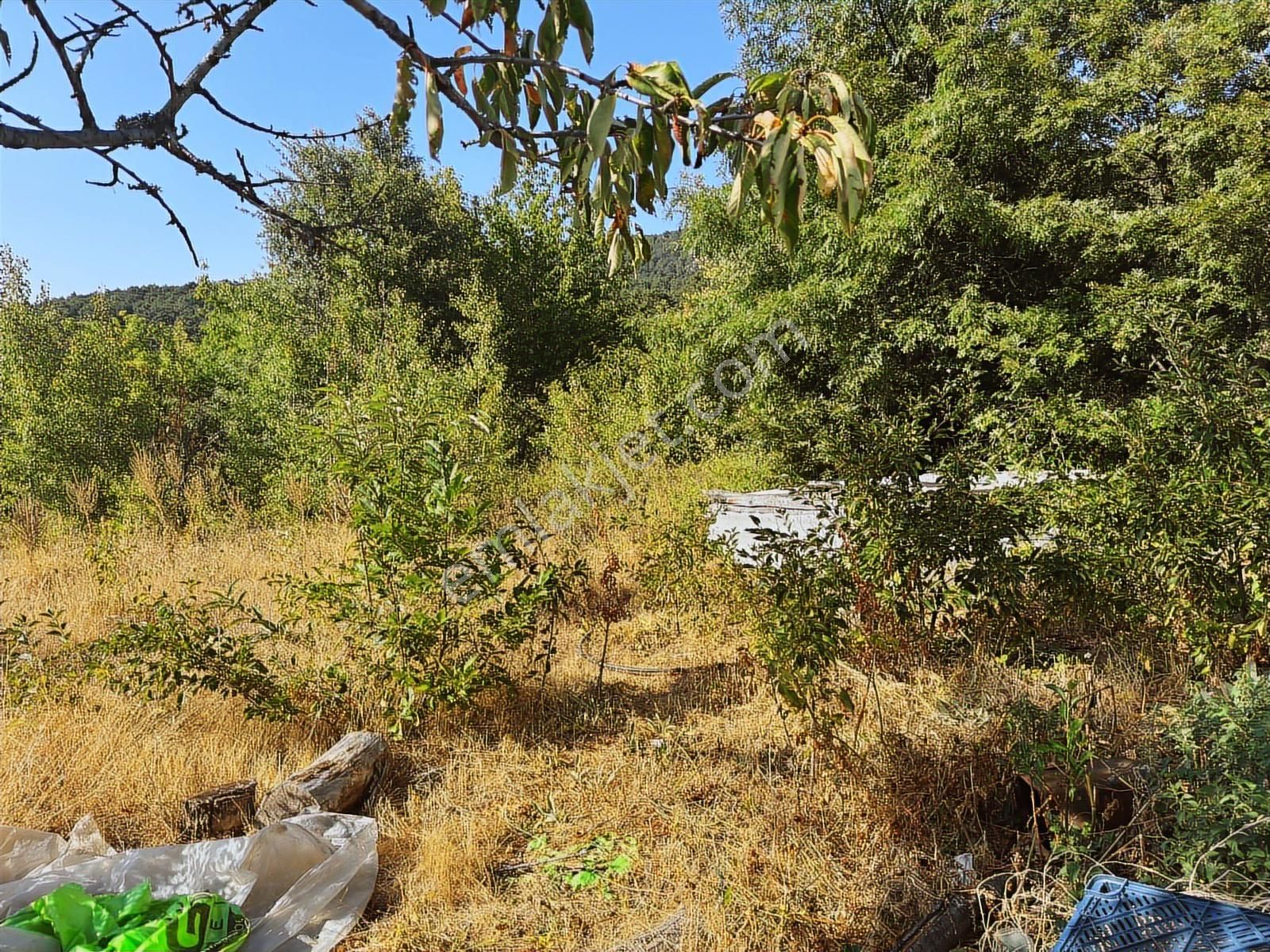 Osmangazi Bağlı Köyün De Kapital'den 900 M2 Satılık Bahçe - Görsel 3