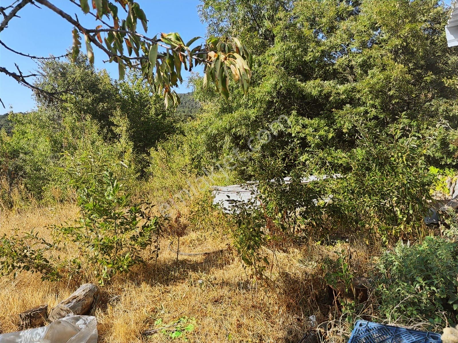 Osmangazi Bağlı Köyün De Kapital'den 900 M2 Satılık Bahçe - Görsel 7