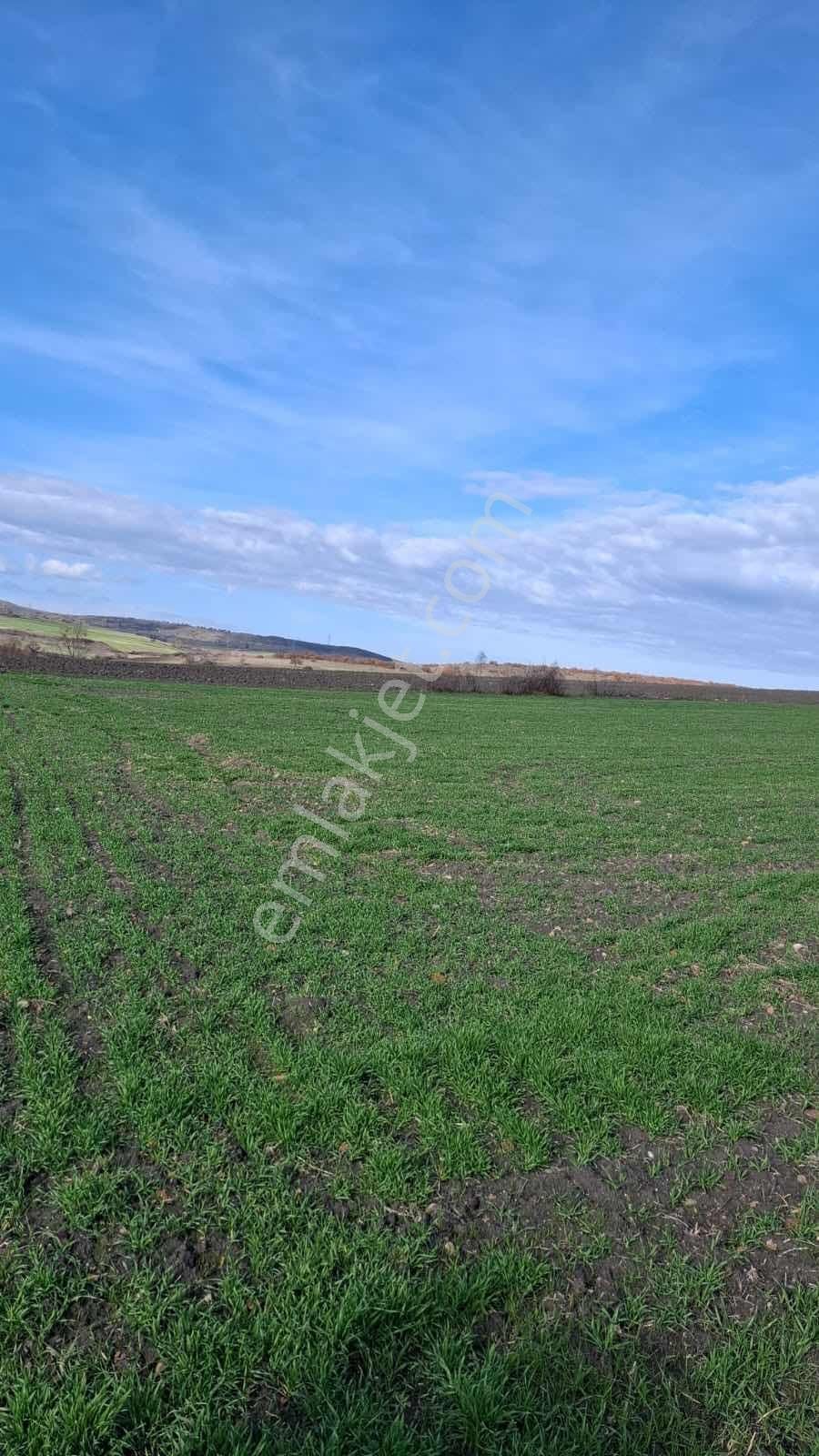 Bursa Karacabey Taşpınar Da Kapital'den Satılık 13.400 M2 Arazi - Görsel 18