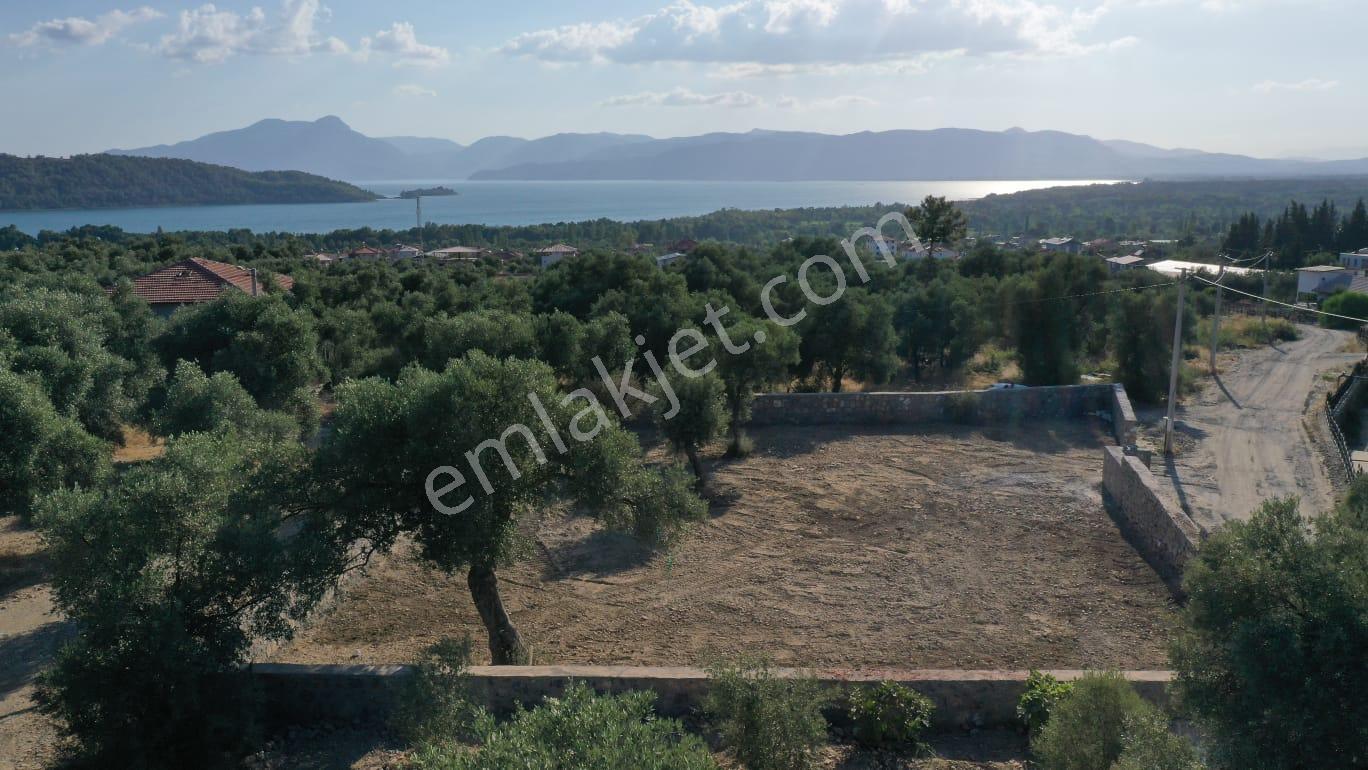 Rota'dan Zeytinalanı'nda Tek Tapu 1244m² Taş Duvarlı Zeytinlik - Görsel 35