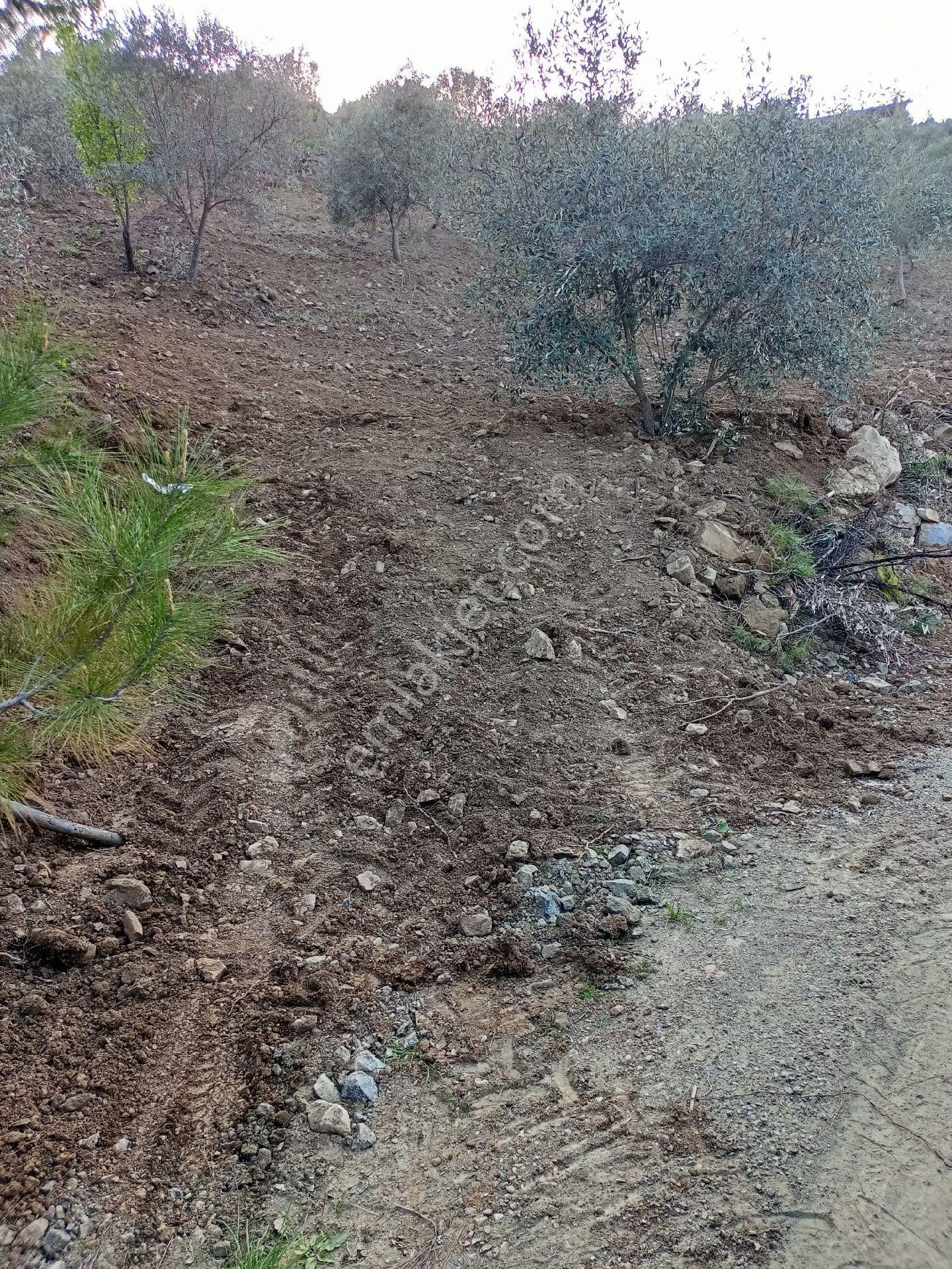 Elcik Mahallesinde Satılık 6575 M2 - Görsel 3