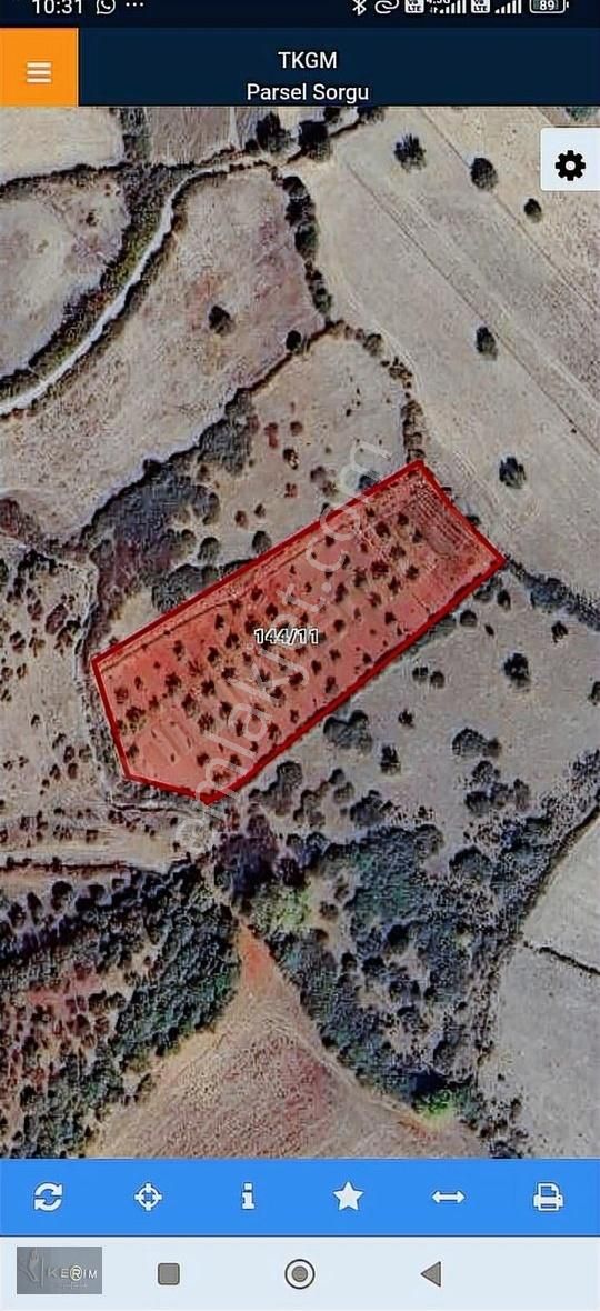 Kerim'den Ayvacık Küçükhusun Köyü 5537 M2 Cevizlik Satılıktır - Görsel 3