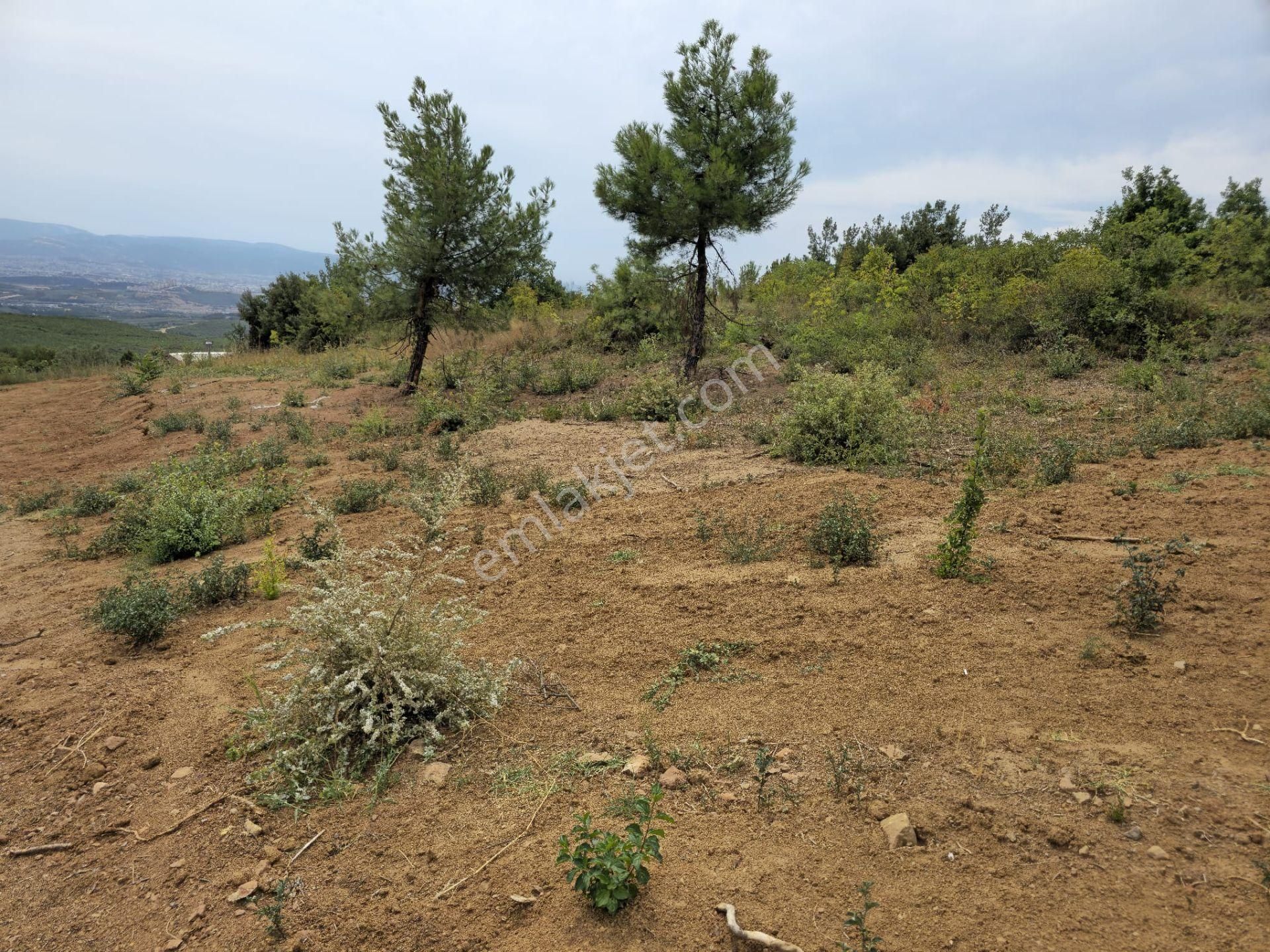 Osmangazi Gündoğdu 344 M2 Bursa Manzaralı Emsallerinin En Uygunu - Görsel 13