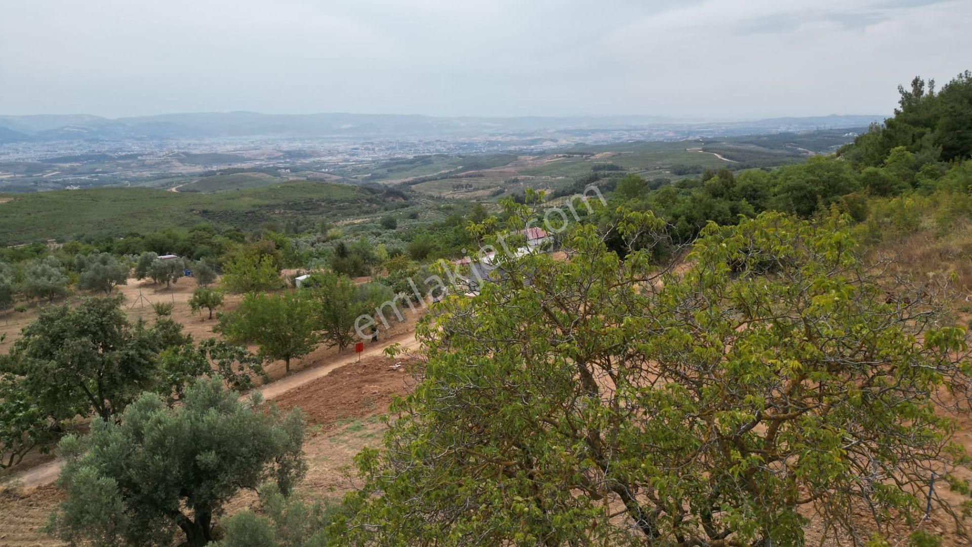 Osmangazi Gündoğdu 344 M2 Bursa Manzaralı Emsallerinin En Uygunu - Görsel 11