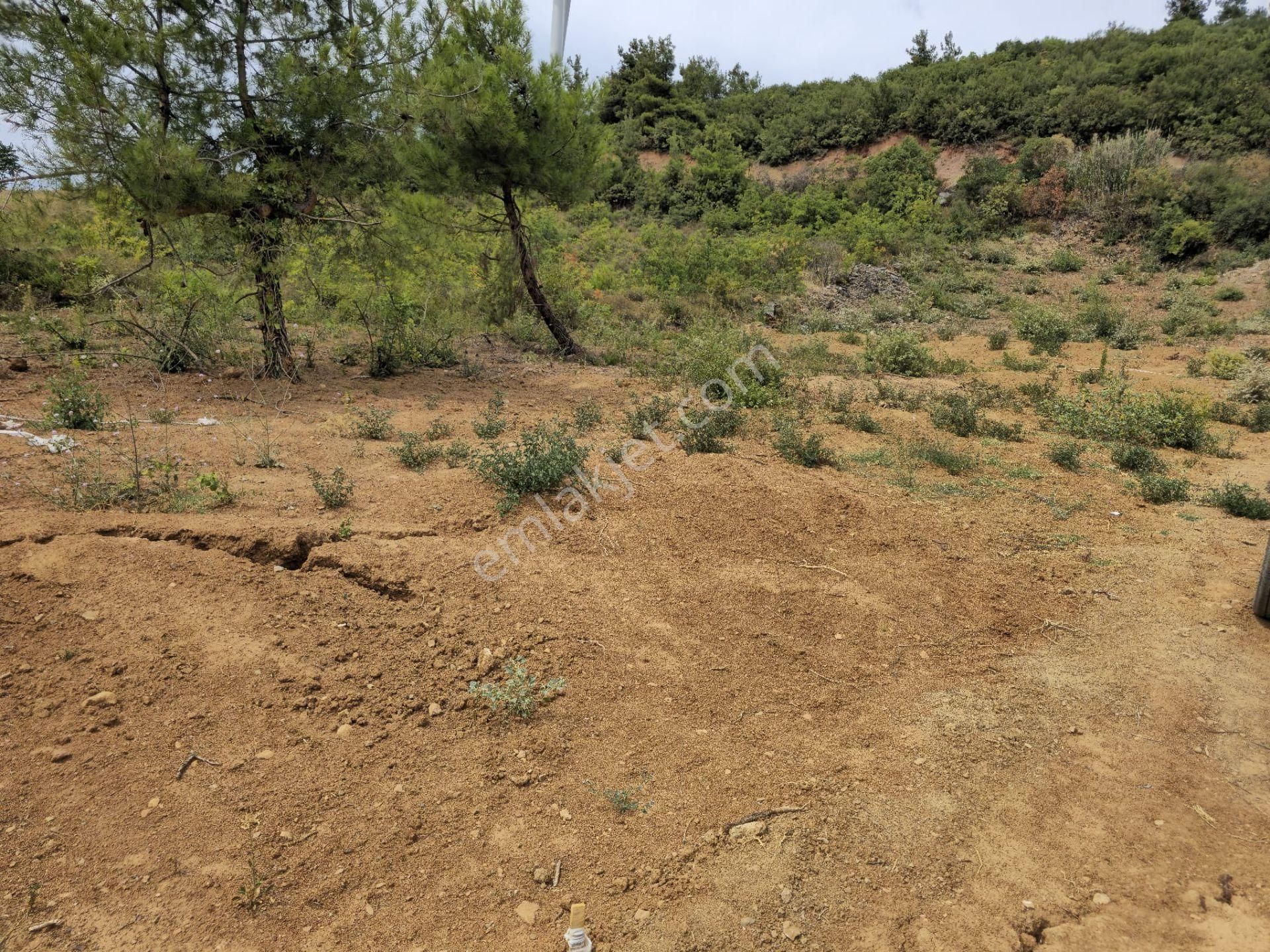 Osmangazi Gündoğdu 344 M2 Bursa Manzaralı Emsallerinin En Uygunu - Görsel 9
