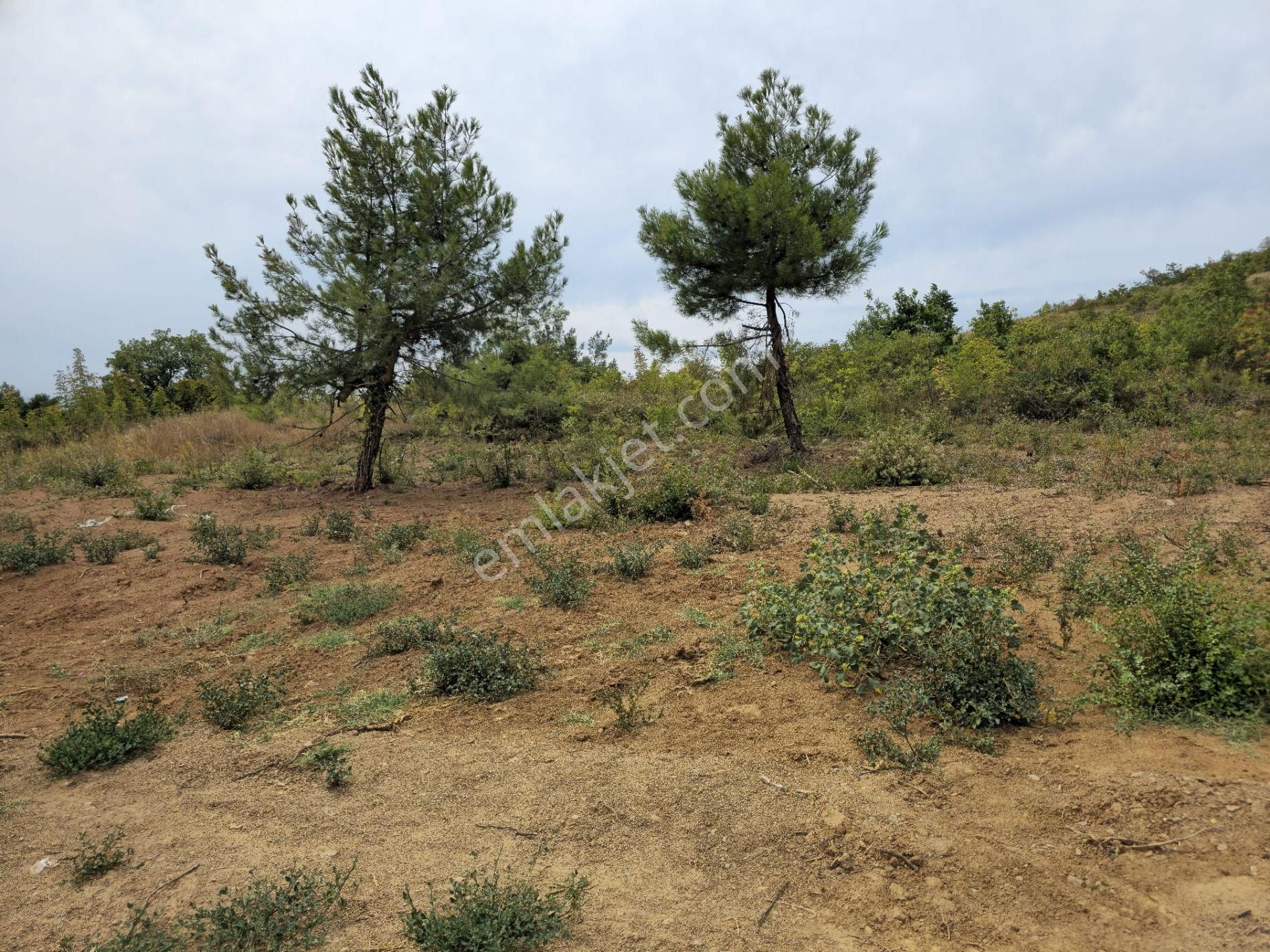 Osmangazi Gündoğdu 344 M2 Bursa Manzaralı Emsallerinin En Uygunu - Görsel 5