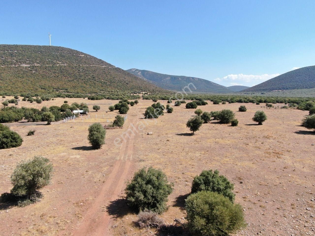 Didim Balova 2 De Satılık Köşe Villa Arsası 315 M2 - Görsel 5