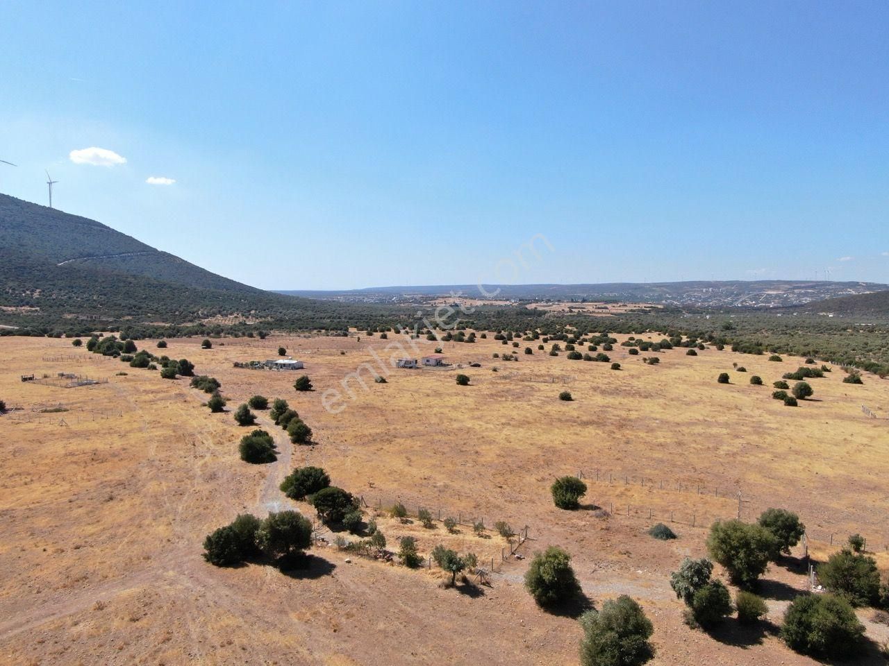 Didim Balova 2 De Satılık Köşe Villa Arsası 315 M2 - Görsel 4
