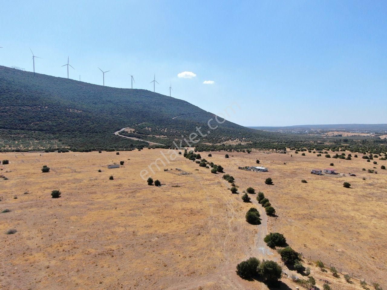 Didim Balova 2 De Satılık Köşe Villa Arsası 315 M2 - Görsel 2