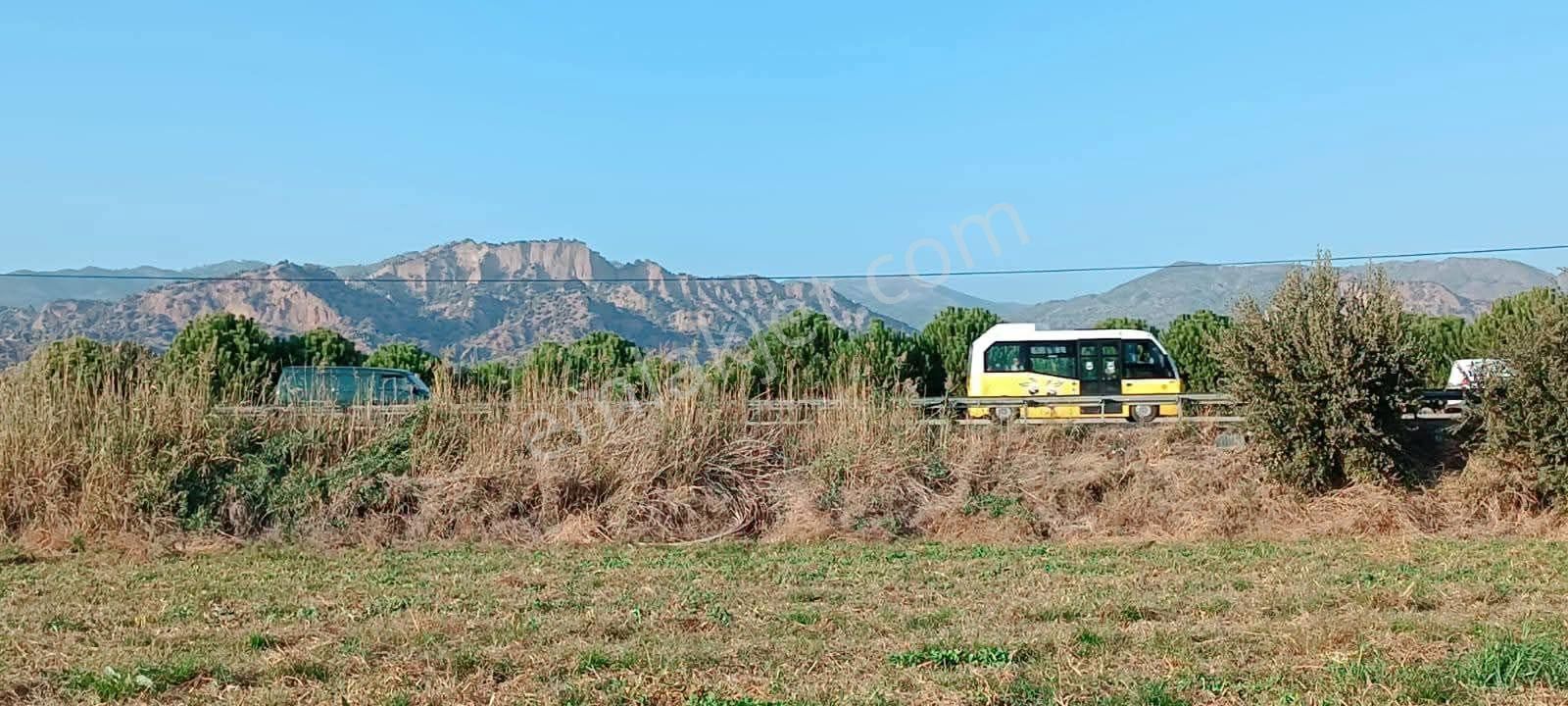 Aydın / Atça Satılık Arazi - Görsel 2