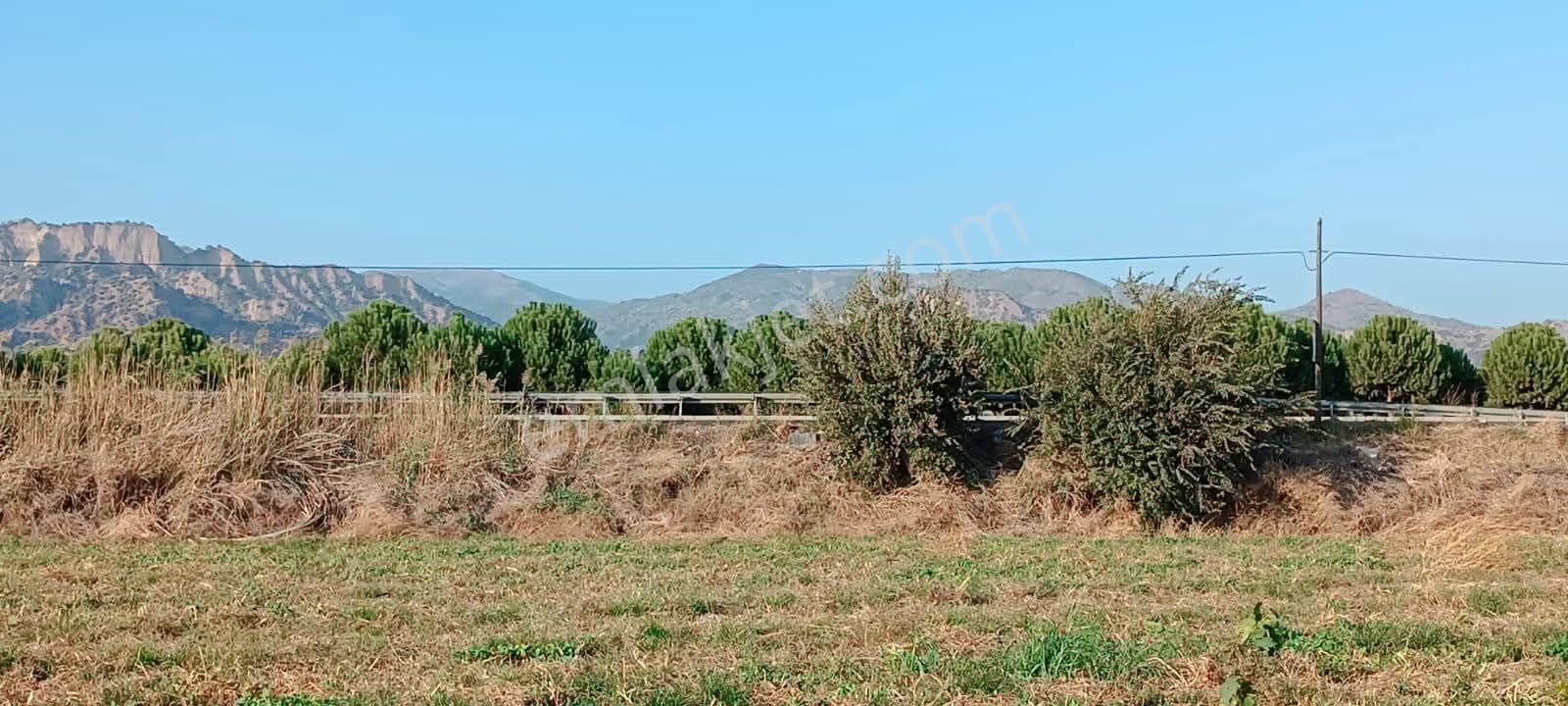 Aydın / Atça Satılık Arazi - Görsel 3