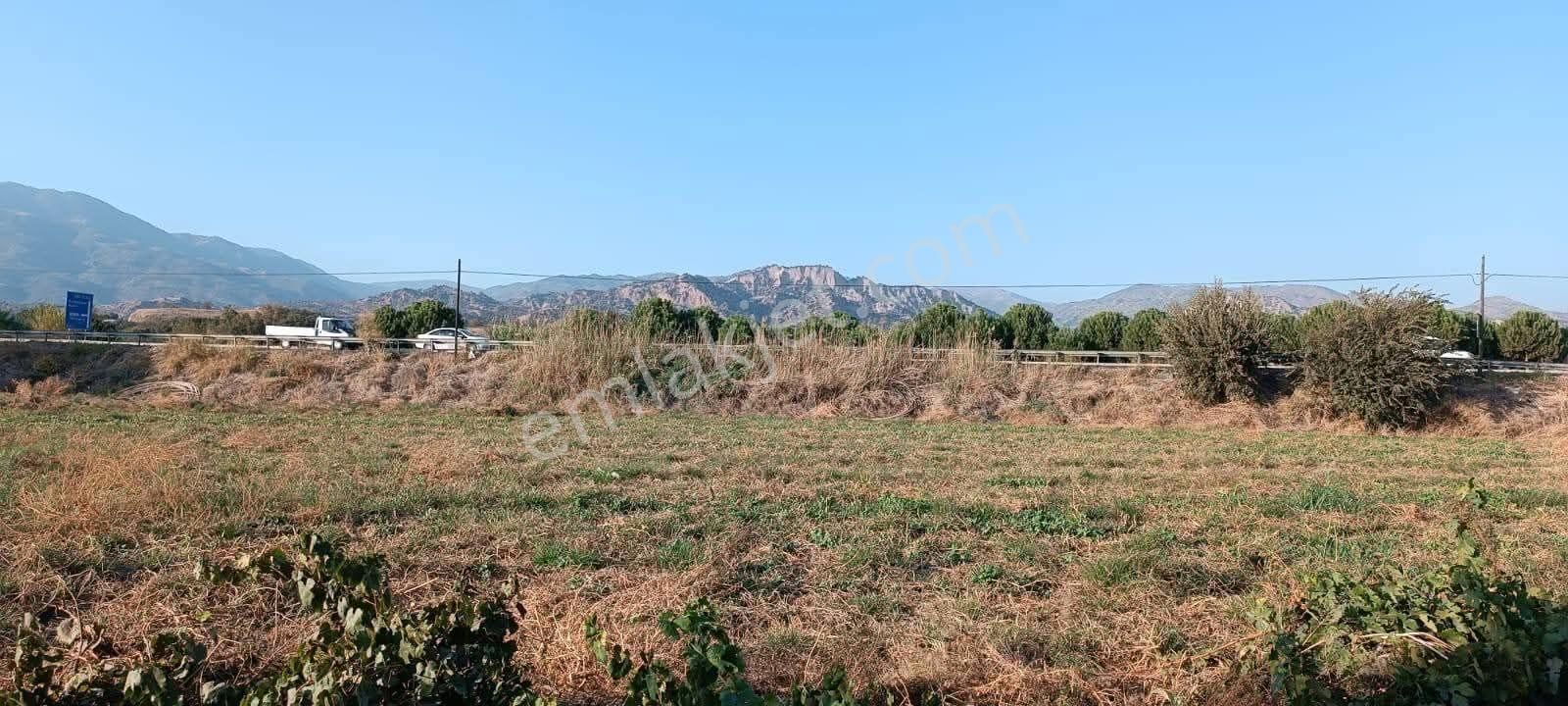 Aydın / Atça Satılık Arazi - Görsel 4