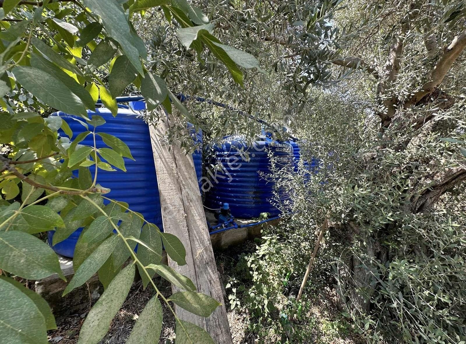 Pek Emlaktan Tireye 1 Km 3+1 Dubleks Ev Ve Hayan Bakım Yerleri - Görsel 6