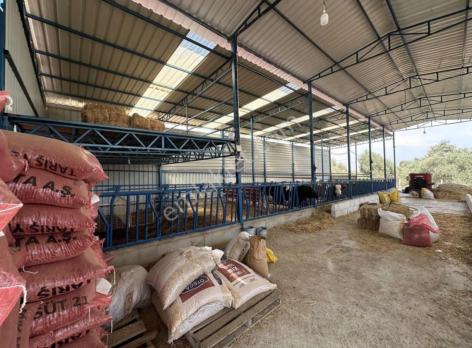 Pek Emlaktan Tireye 1 Km 3+1 Dubleks Ev Ve Hayan Bakım Yerleri - Görsel 12