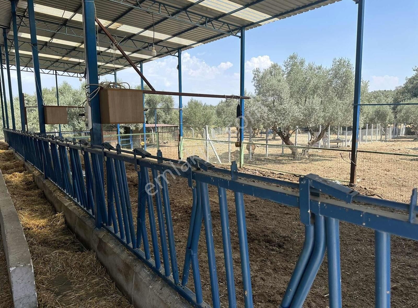 Pek Emlaktan Tireye 1 Km 3+1 Dubleks Ev Ve Hayan Bakım Yerleri - Görsel 34