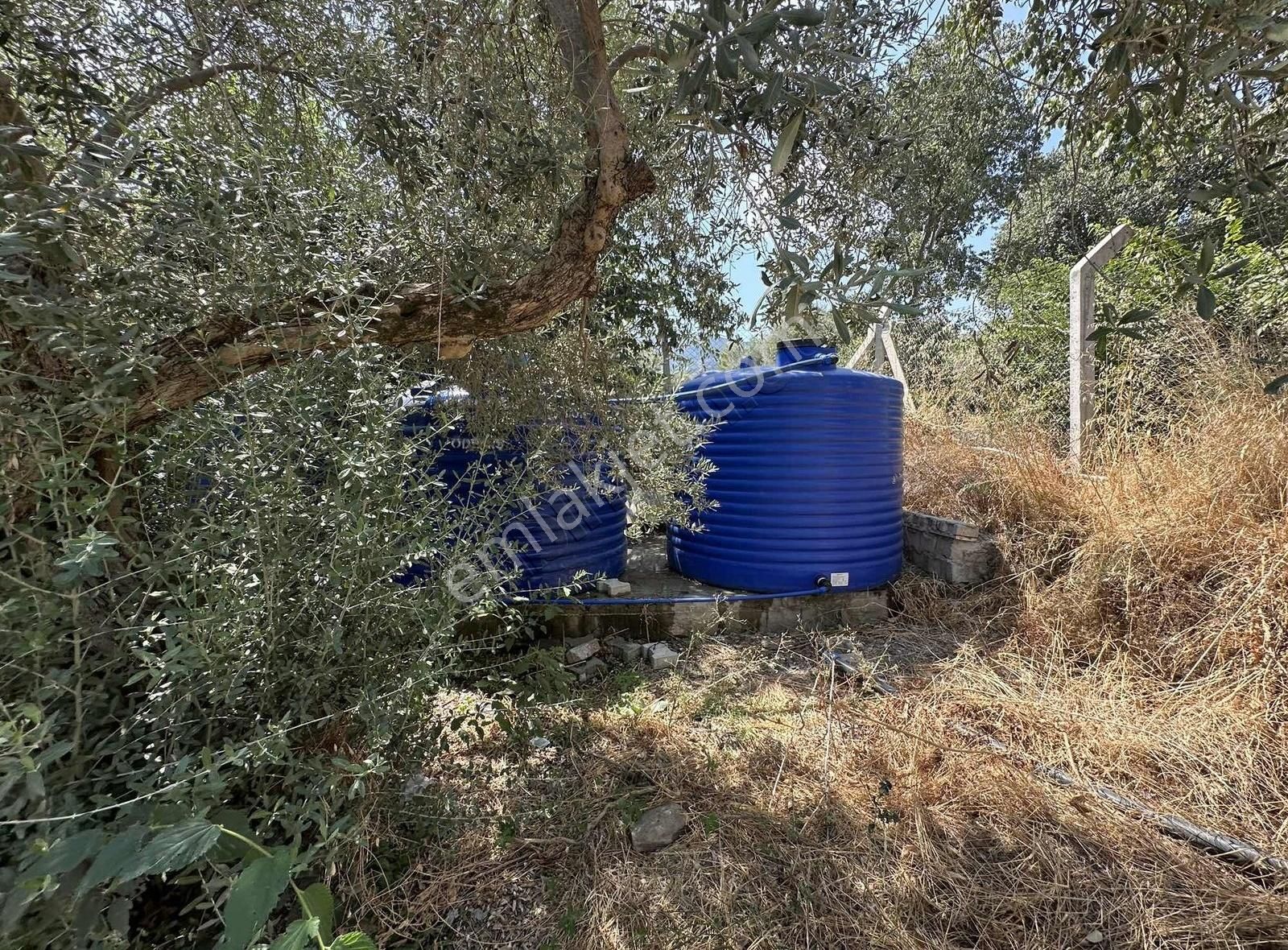 Pek Emlaktan Tireye 1 Km 3+1 Dubleks Ev Ve Hayan Bakım Yerleri - Görsel 33