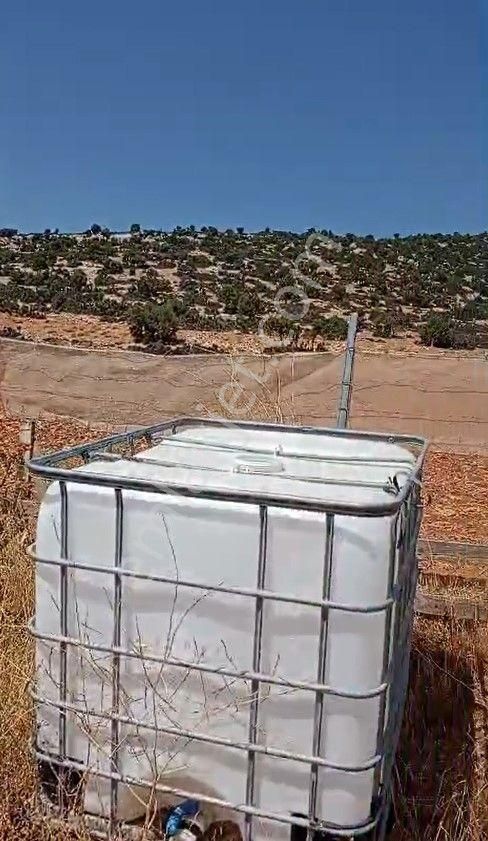 Beğiş Köyü’nde Satılık Tarla – Yolu, Evi Ve Yatırım Fırsatıyla! - Görsel 7